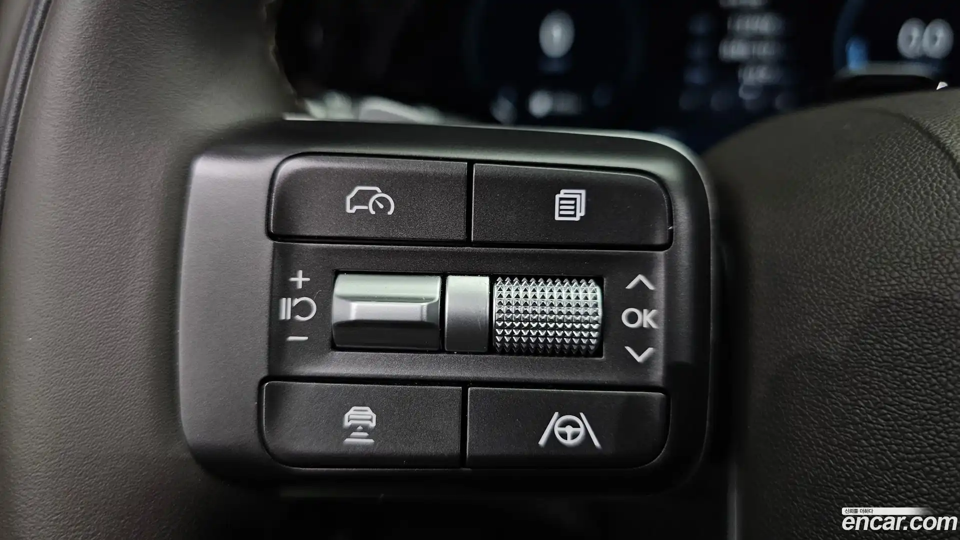 Palisade Hyundai 2025.6-OPTION-044