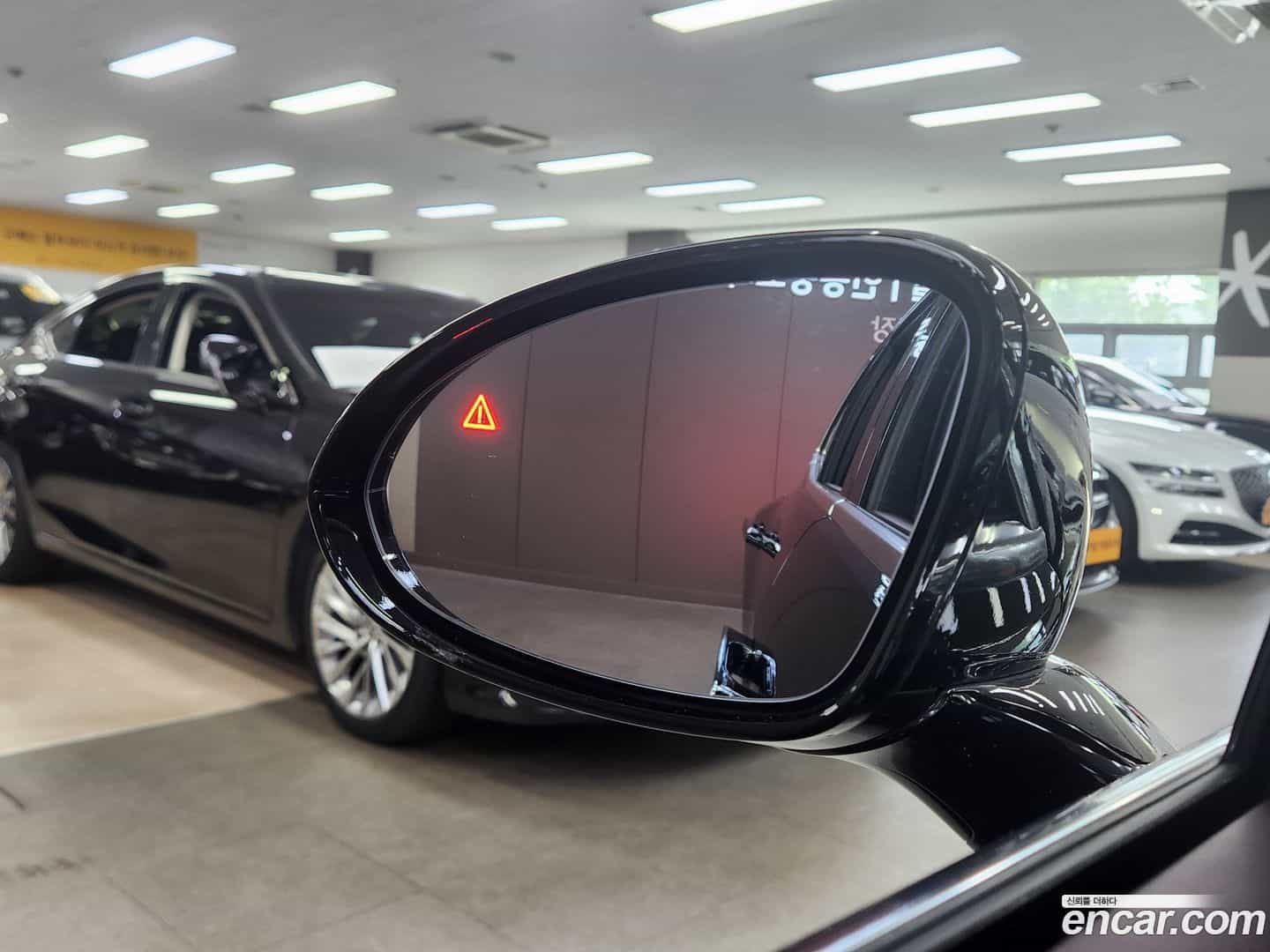 G90 Genesis 2024.1-OPTION-018