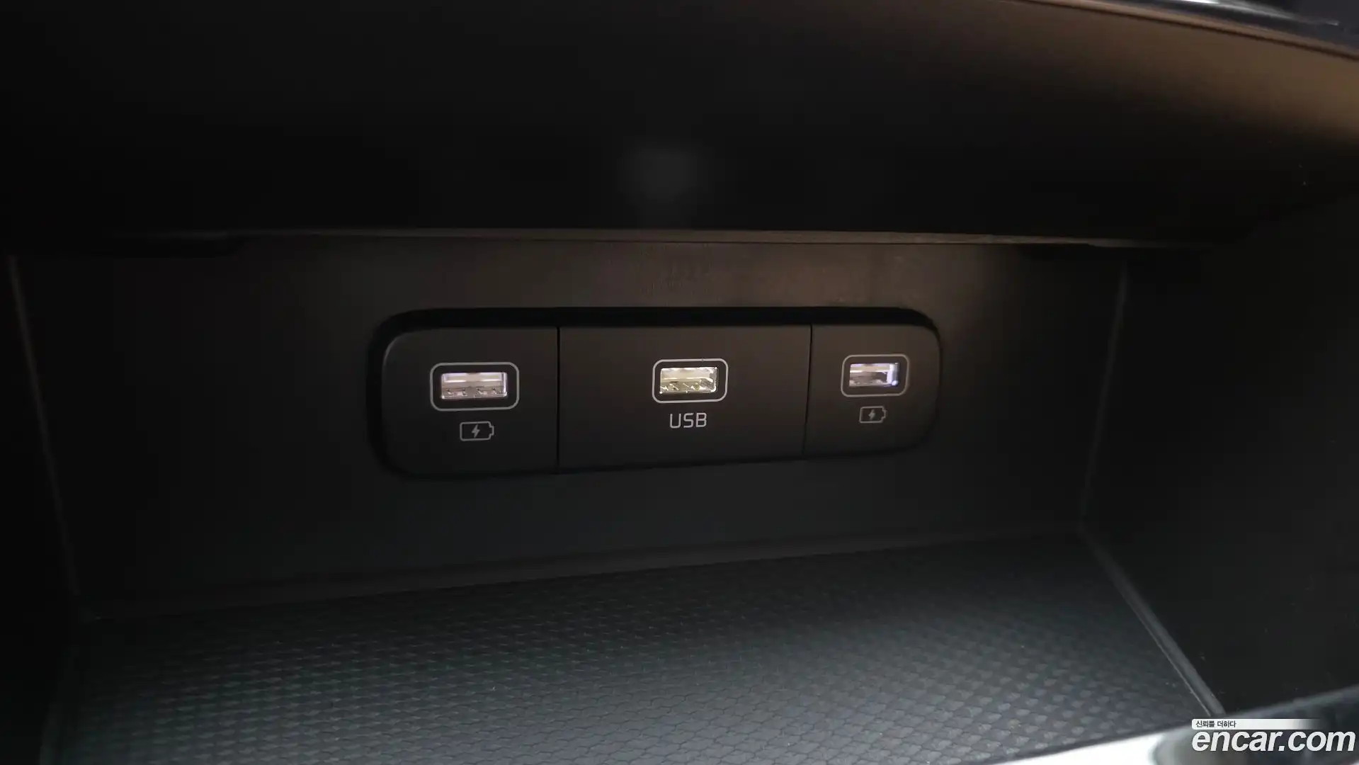 Canival Kia 2020.10-OPTION-016