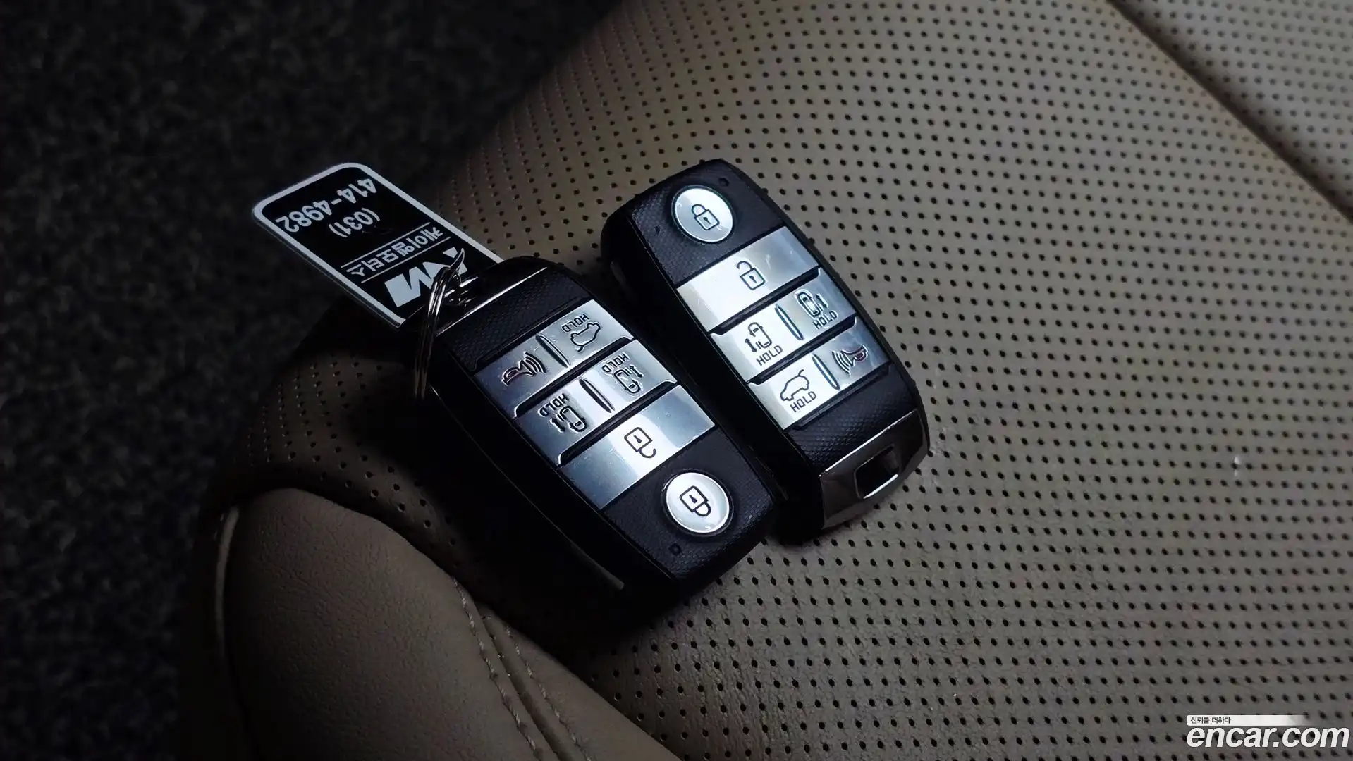 Canival Kia 2018.10-OPTION-020