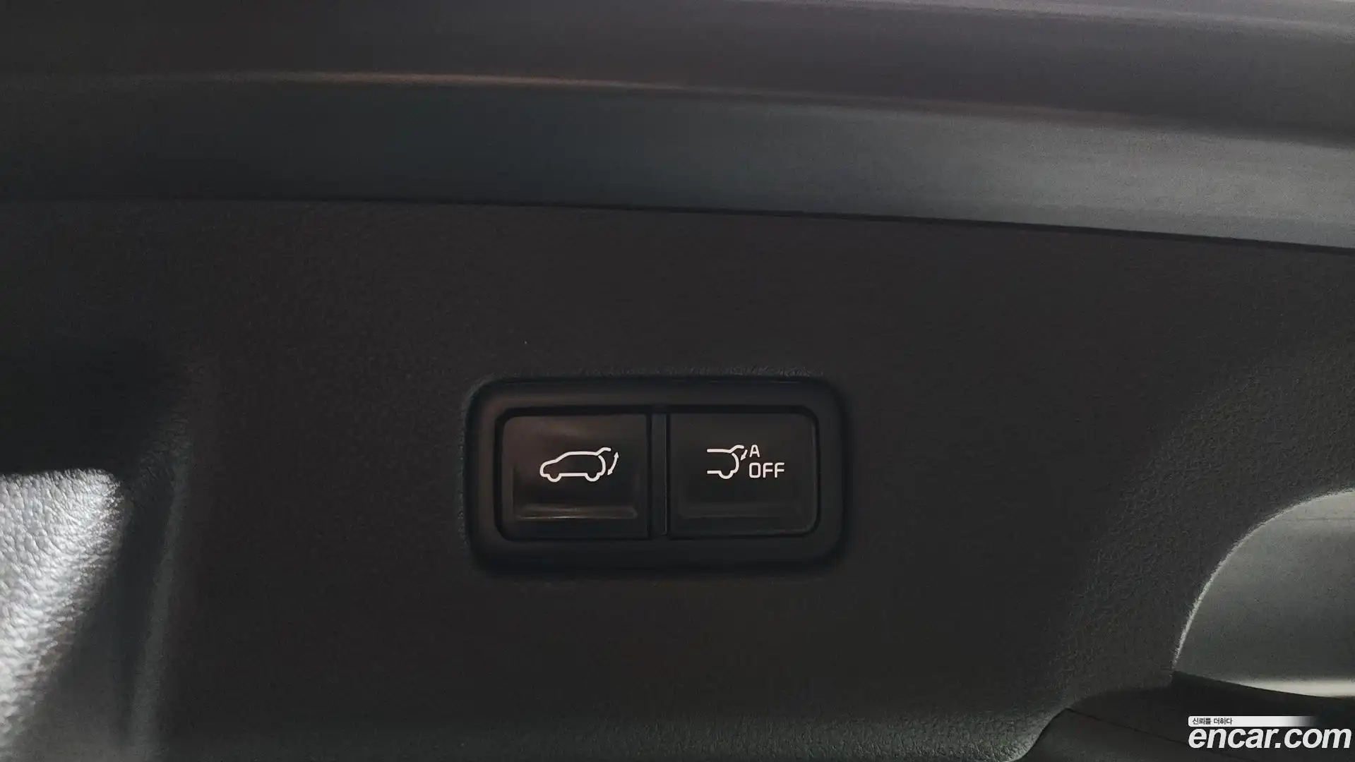 Canival Kia 2020.11-OPTION-023