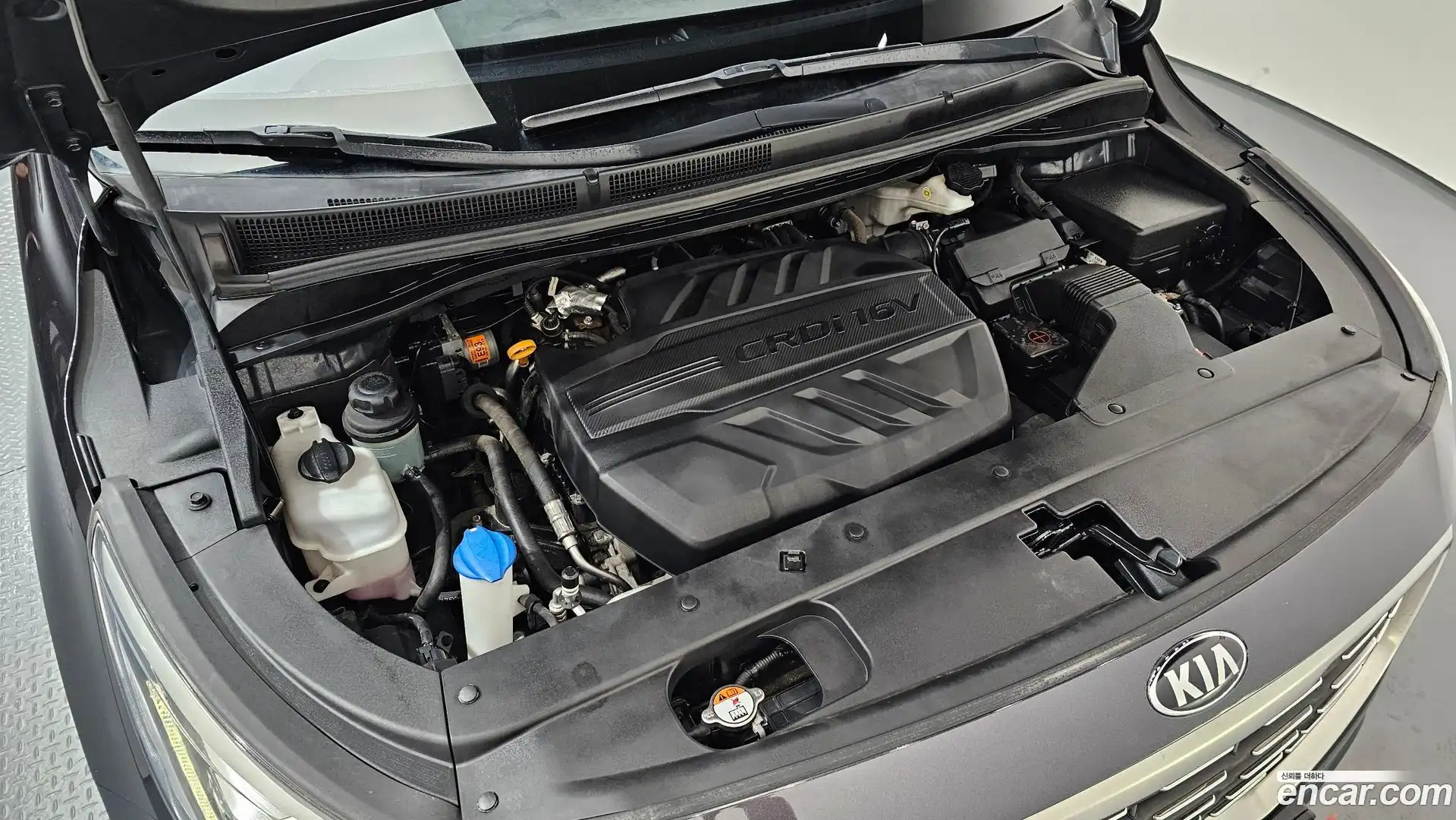 Canival Kia 2019.5-OUTER-006