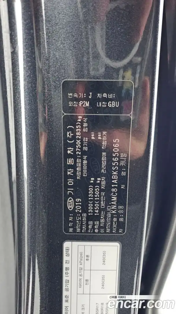 Canival Kia 2019.5-OPTION-021