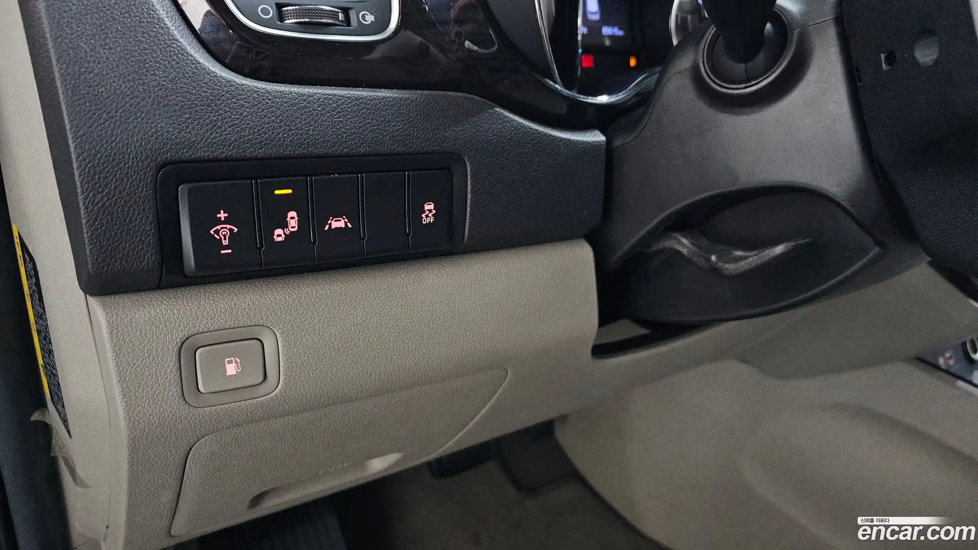 Canival Kia 2019.5-OPTION-022