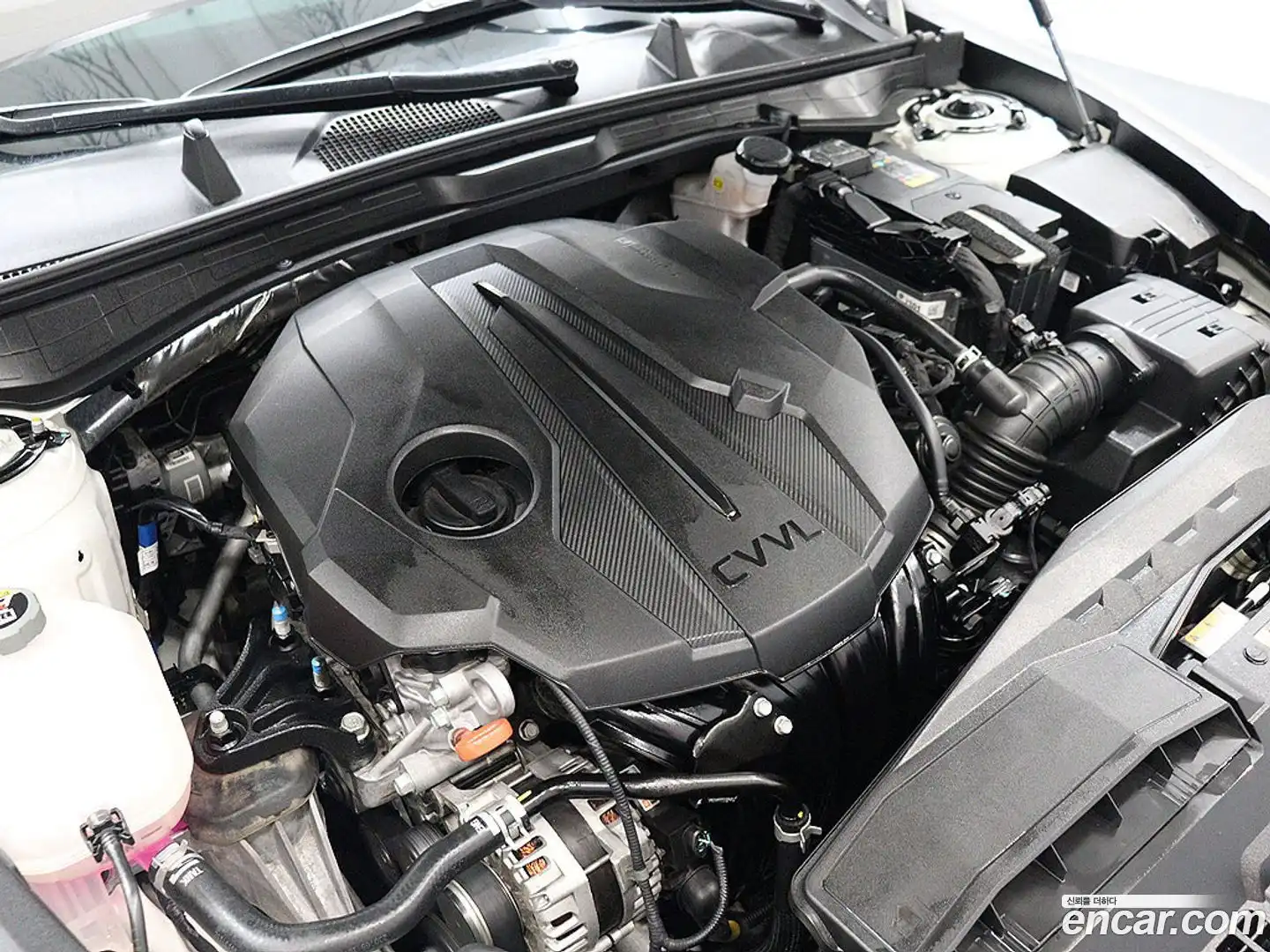 Sonata Hyundai 2023.8-OPTION-023