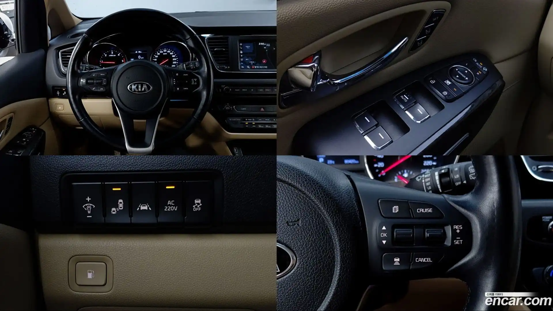 Canival Kia 2019.6-OPTION-016