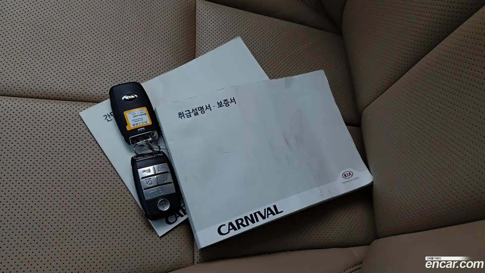 Canival Kia 2019.6-OPTION-024
