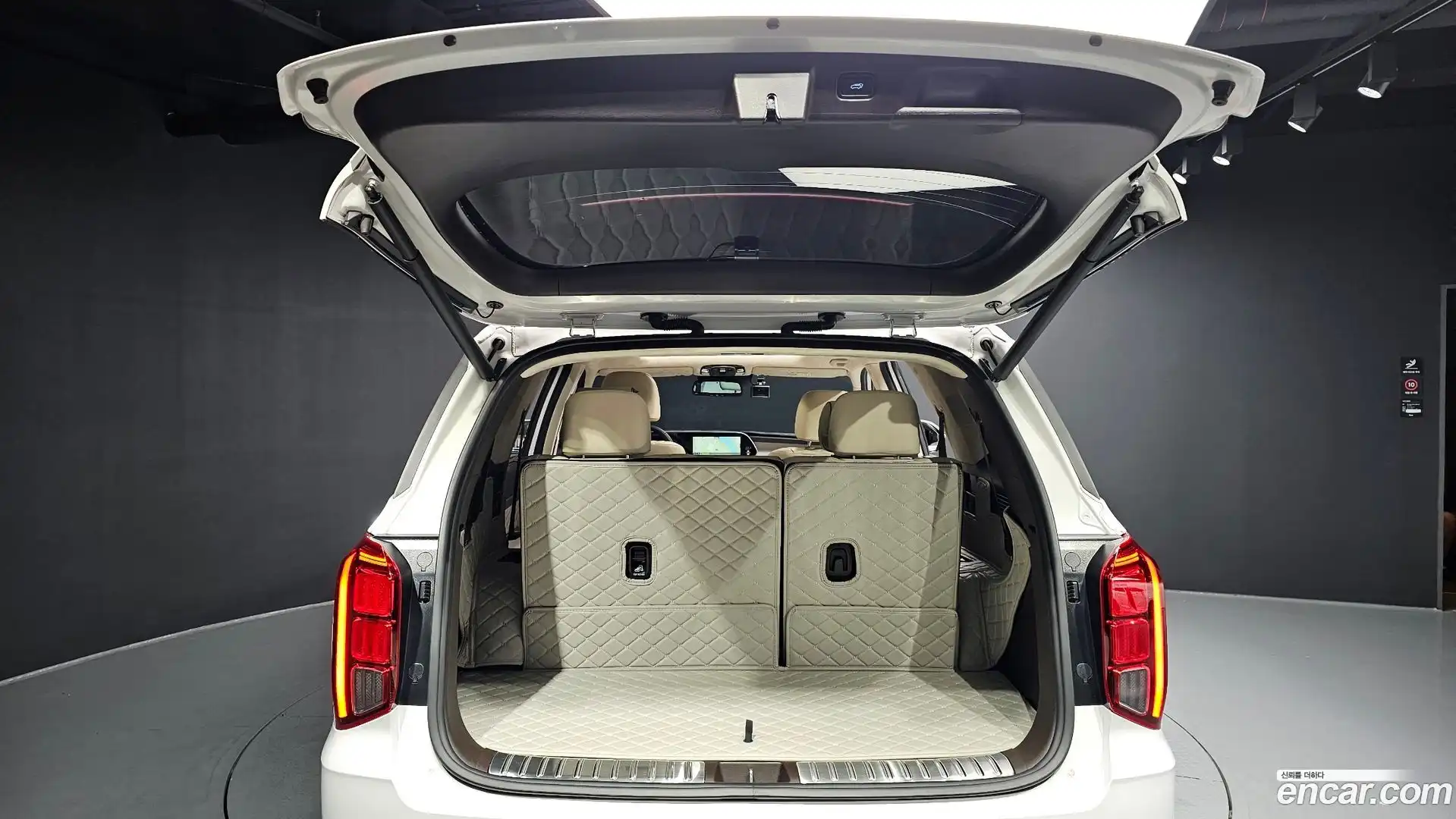 Palisade Hyundai 2021.10-OPTION-024