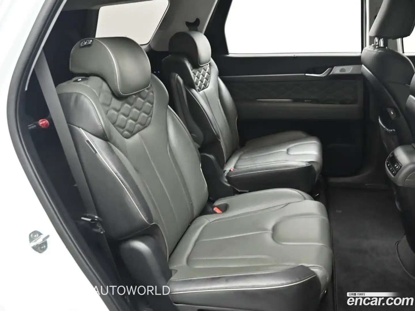Palisade Hyundai 2021.5-OPTION-016