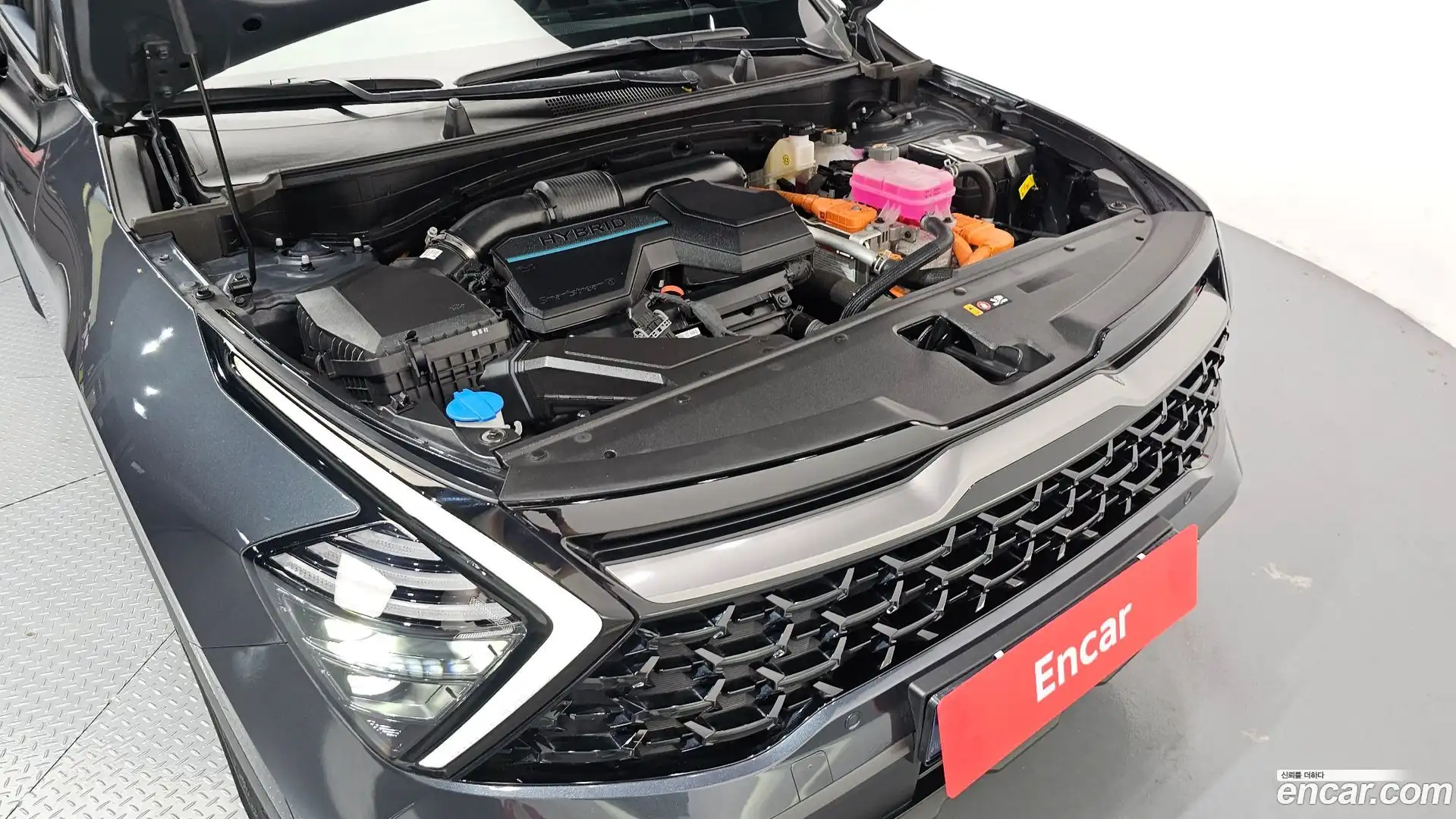 Sportage Kia 2024.4-OUTER-006
