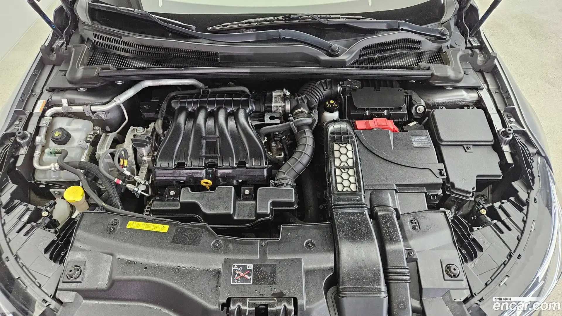 SM6 Renault Korea 2020.10-OUTER-006