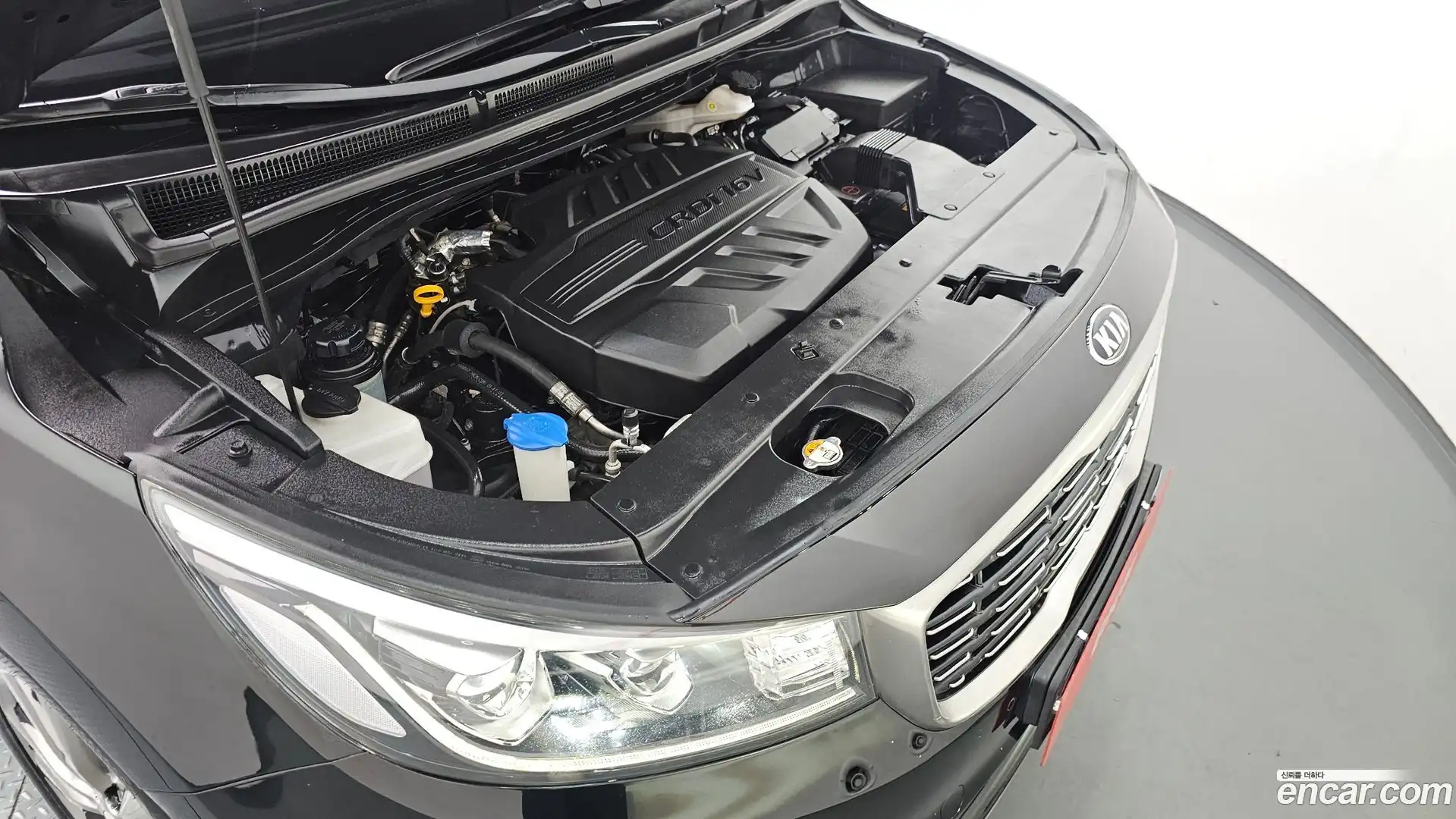 Canival Kia 2018.8-OUTER-006
