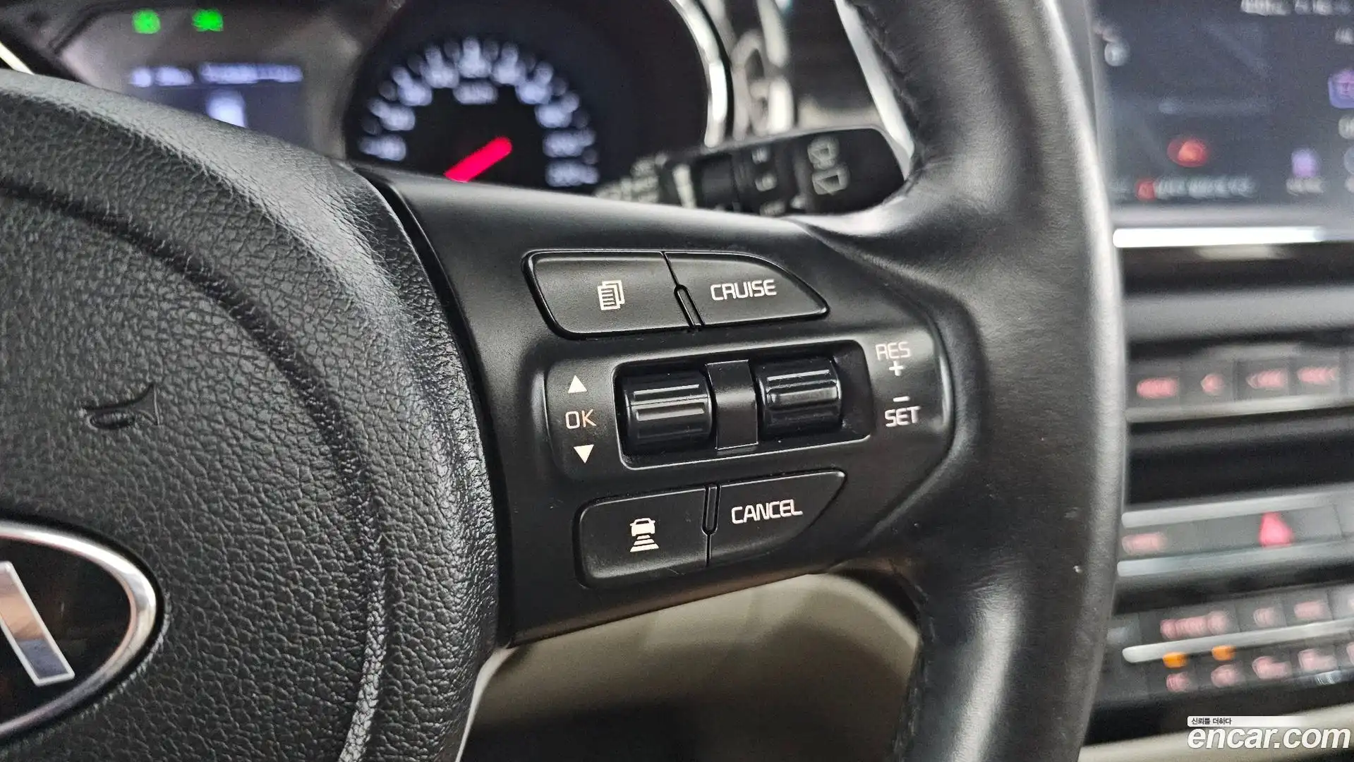 Canival Kia 2018.8-OPTION-019