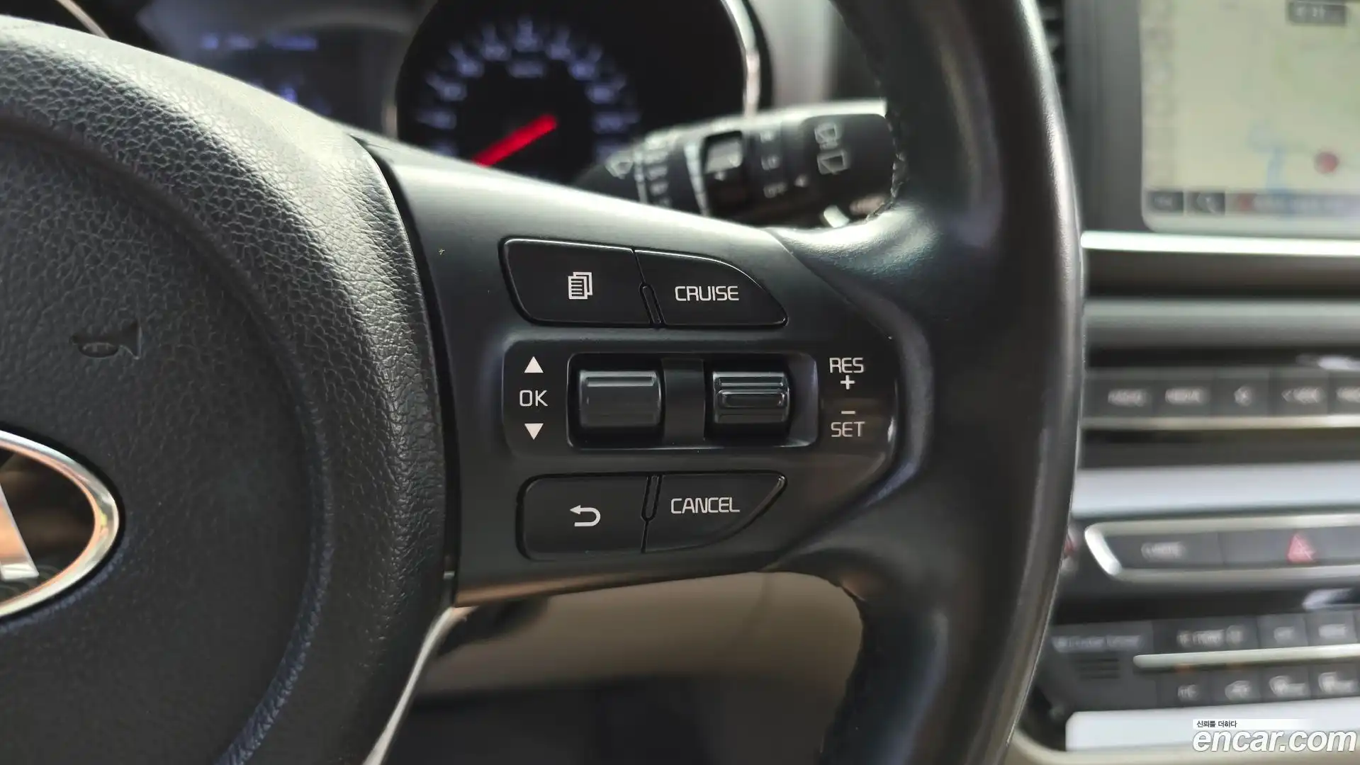 Canival Kia 2019.4-OPTION-022
