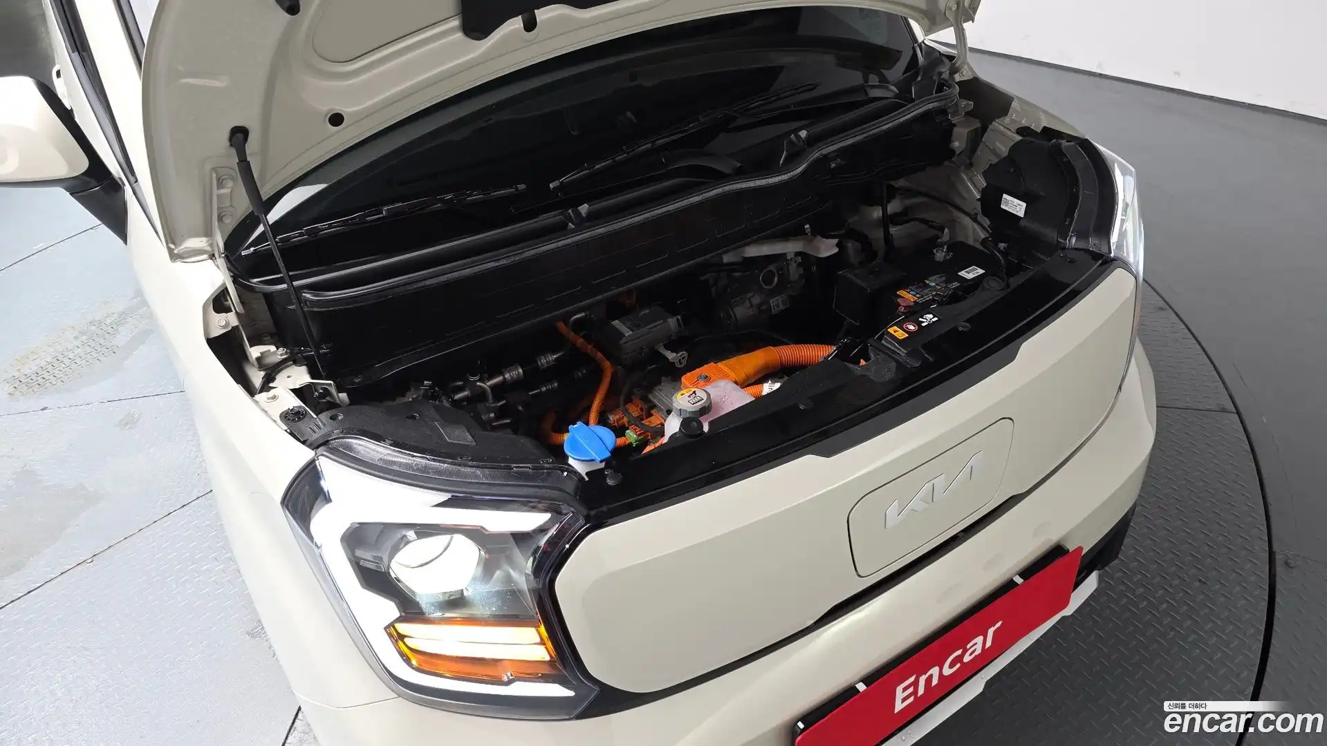 RAY Kia 2024.2-OUTER-006