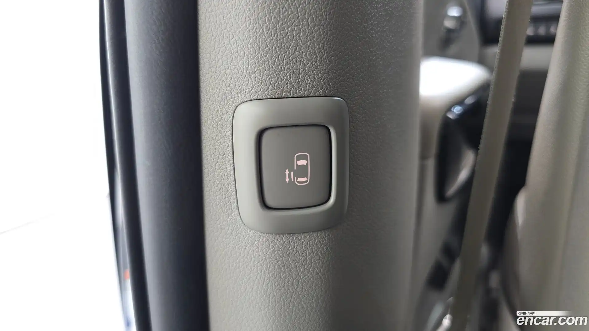 Canival Kia 2018.9-OPTION-046