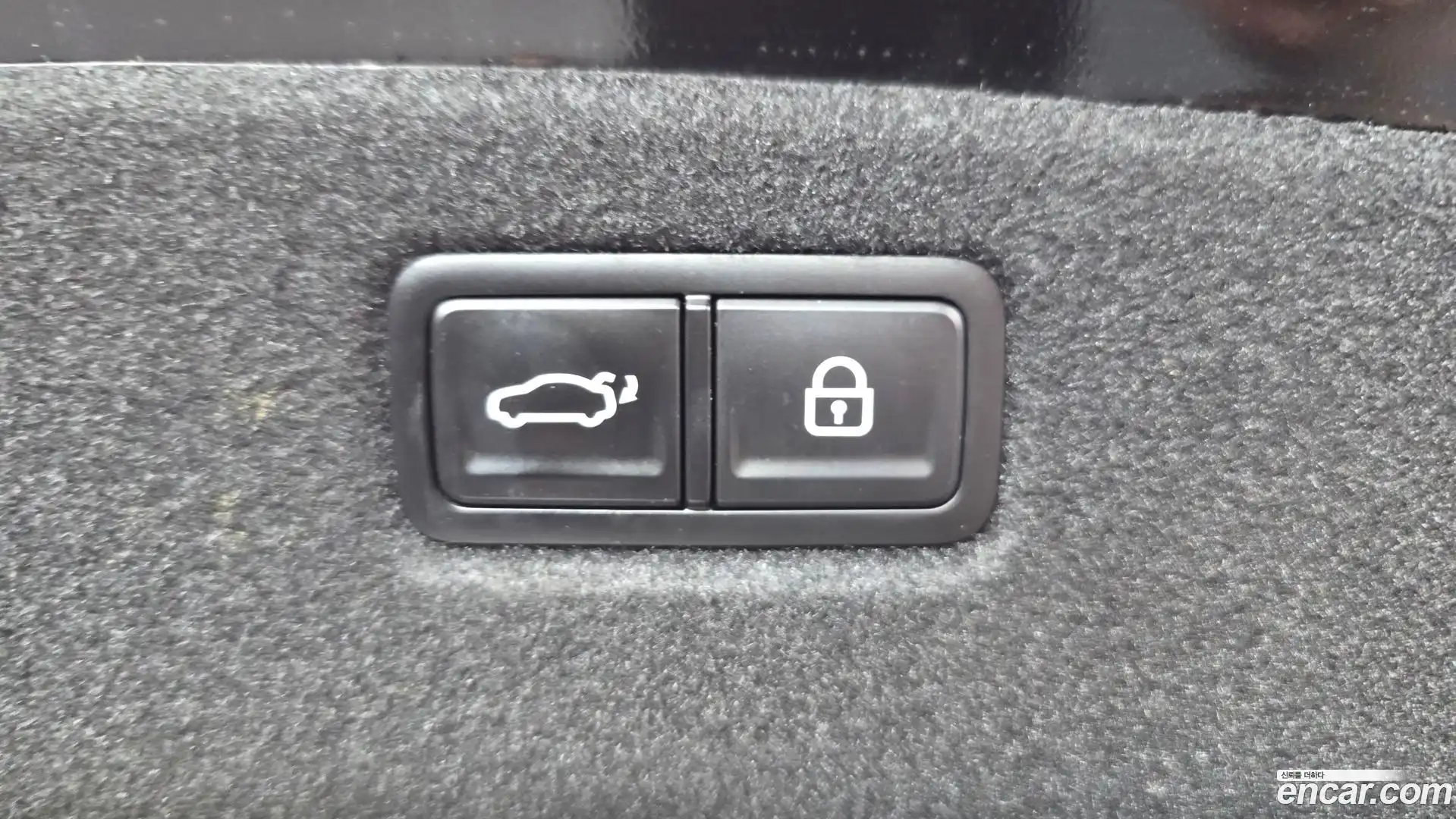 K9 Kia 2021.5-OPTION-021