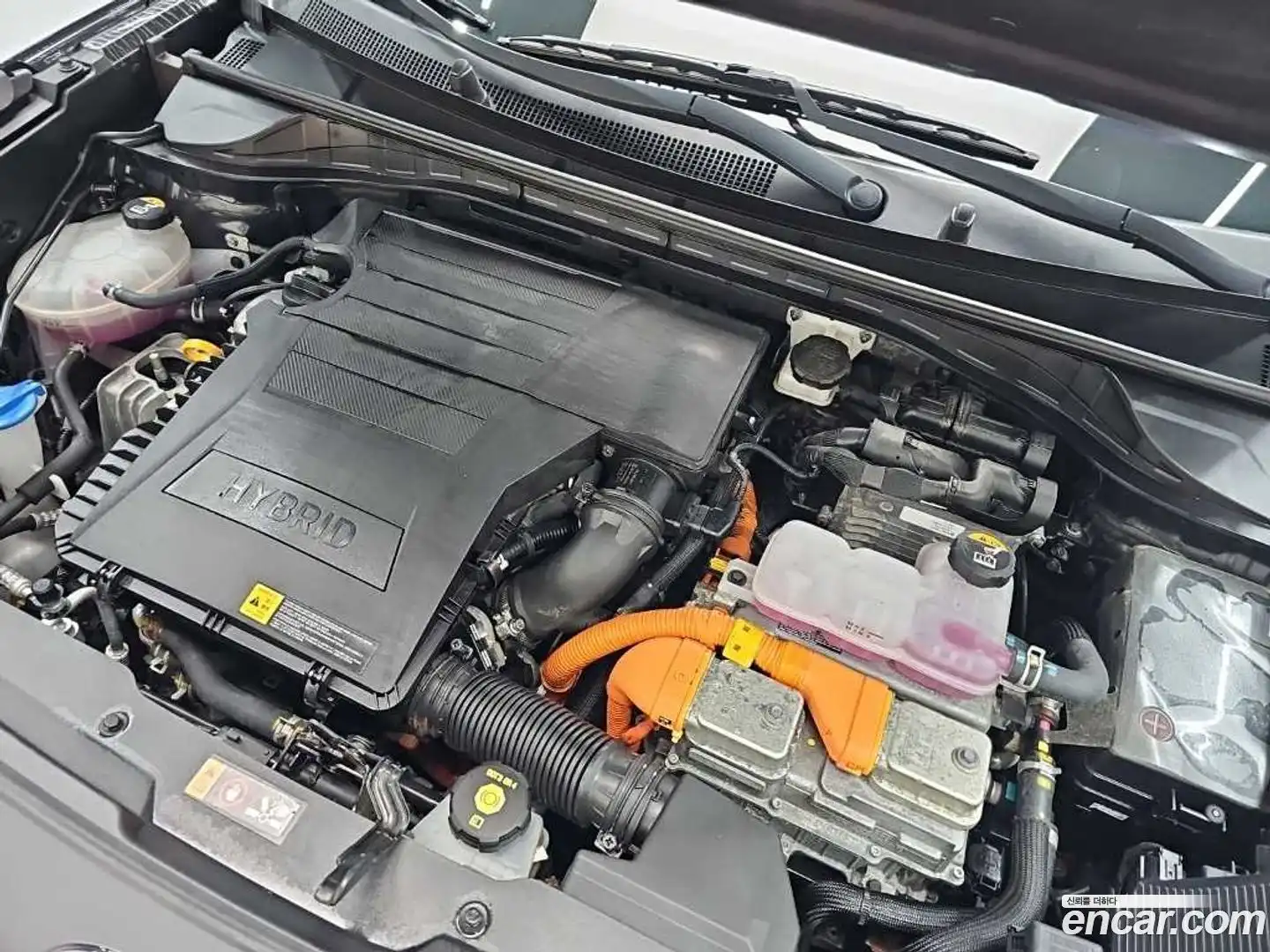 Niro Kia 2019.6-OUTER-005