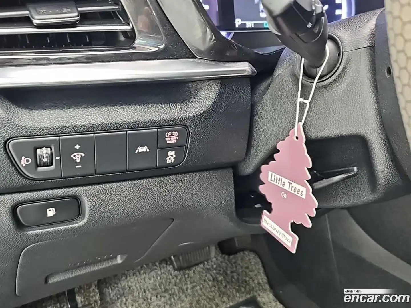 Niro Kia 2019.6-OPTION-020