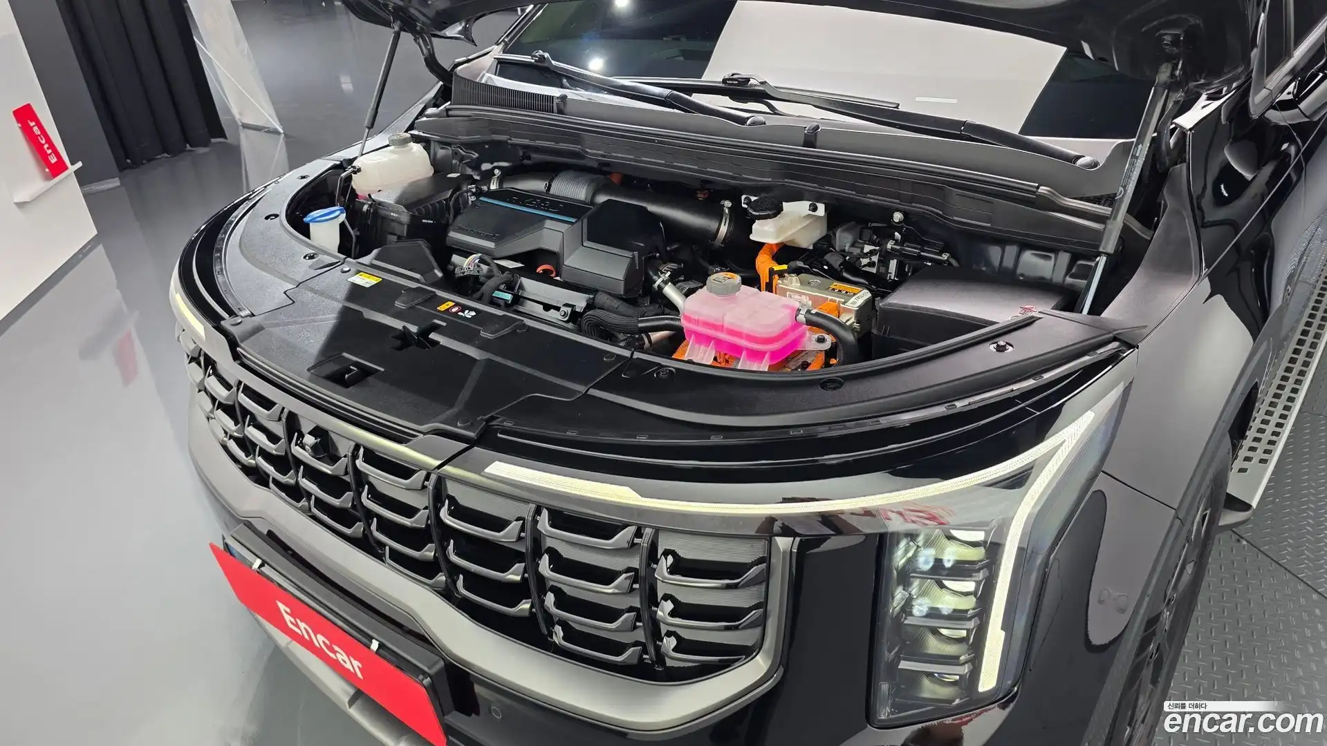 Canival Kia 2024.3-OUTER-006