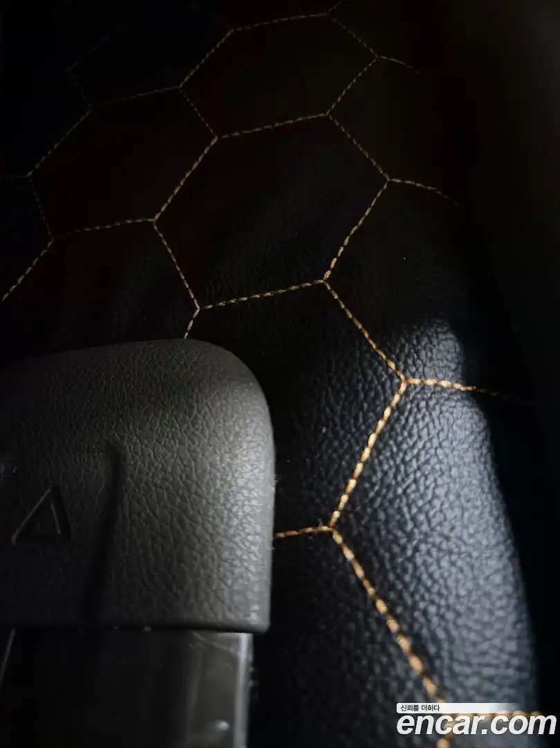 Canival Kia 2019.6-OPTION-018