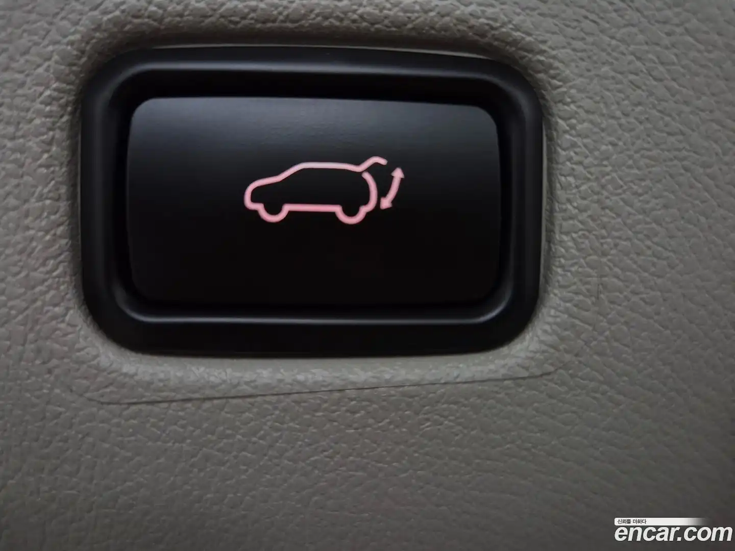 Canival Kia 2019.6-OPTION-022