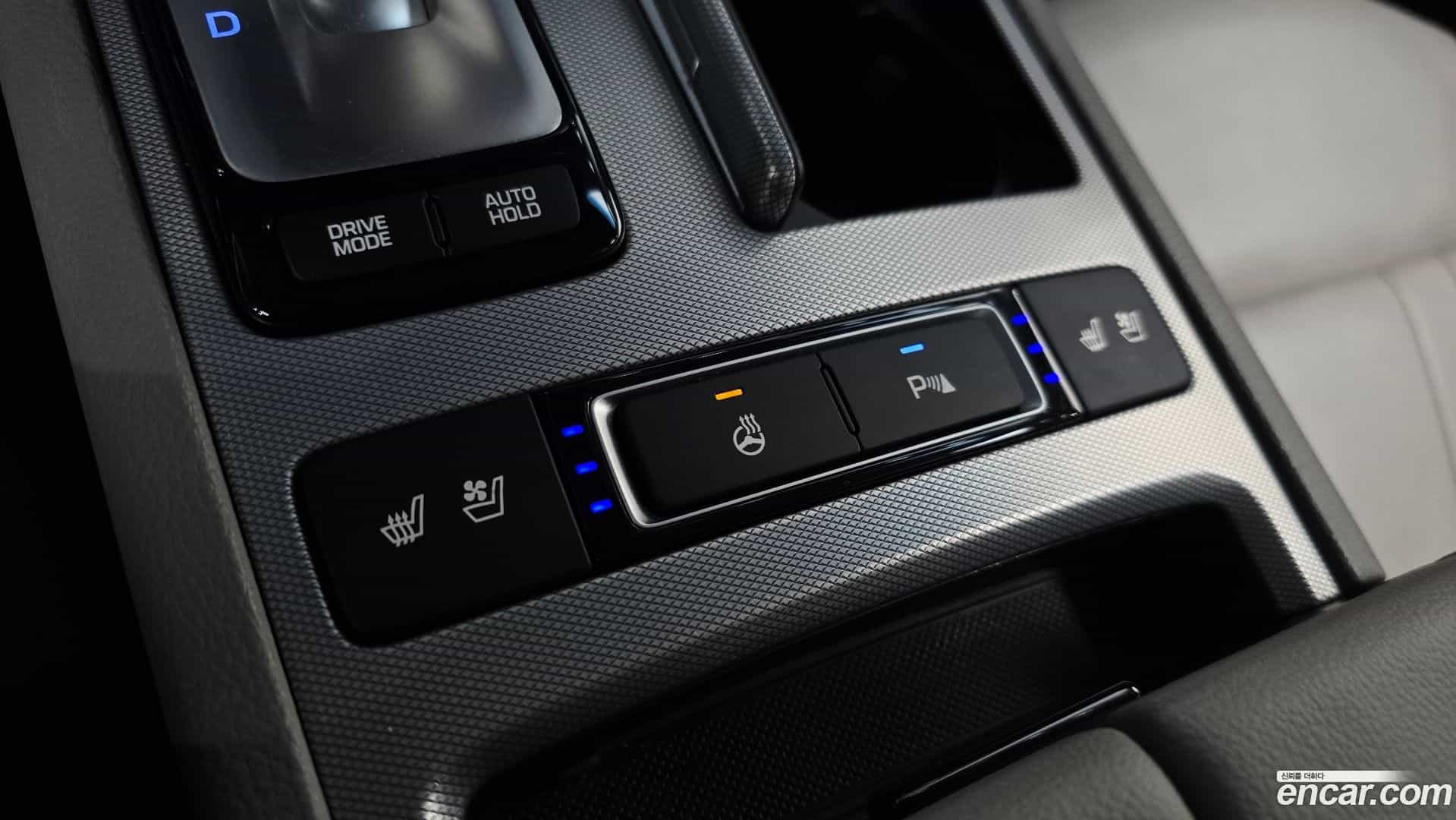 G80 Genesis 2016.9-OPTION-016