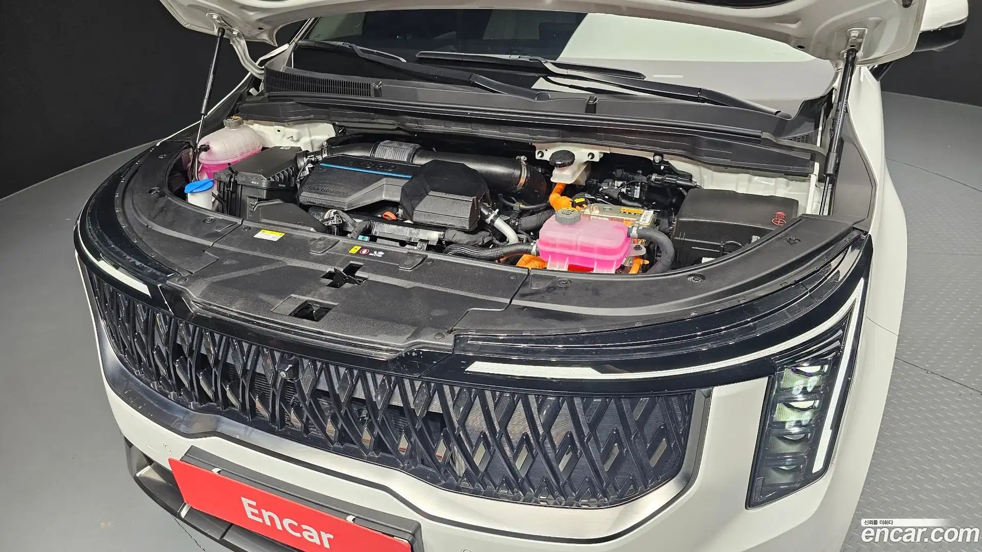 Canival Kia 2024.6-OUTER-006