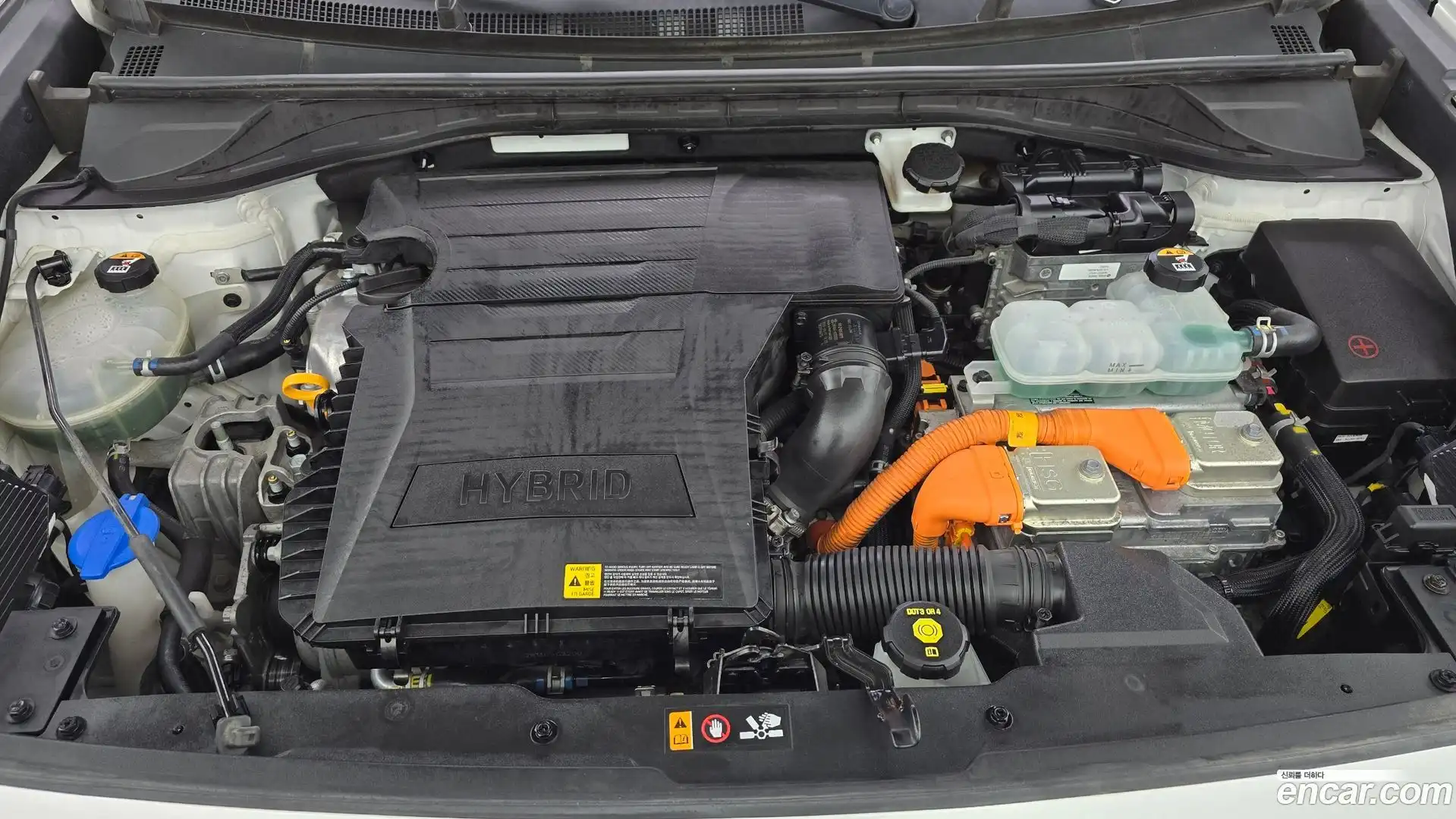 Niro Kia 2019.6-OUTER-006