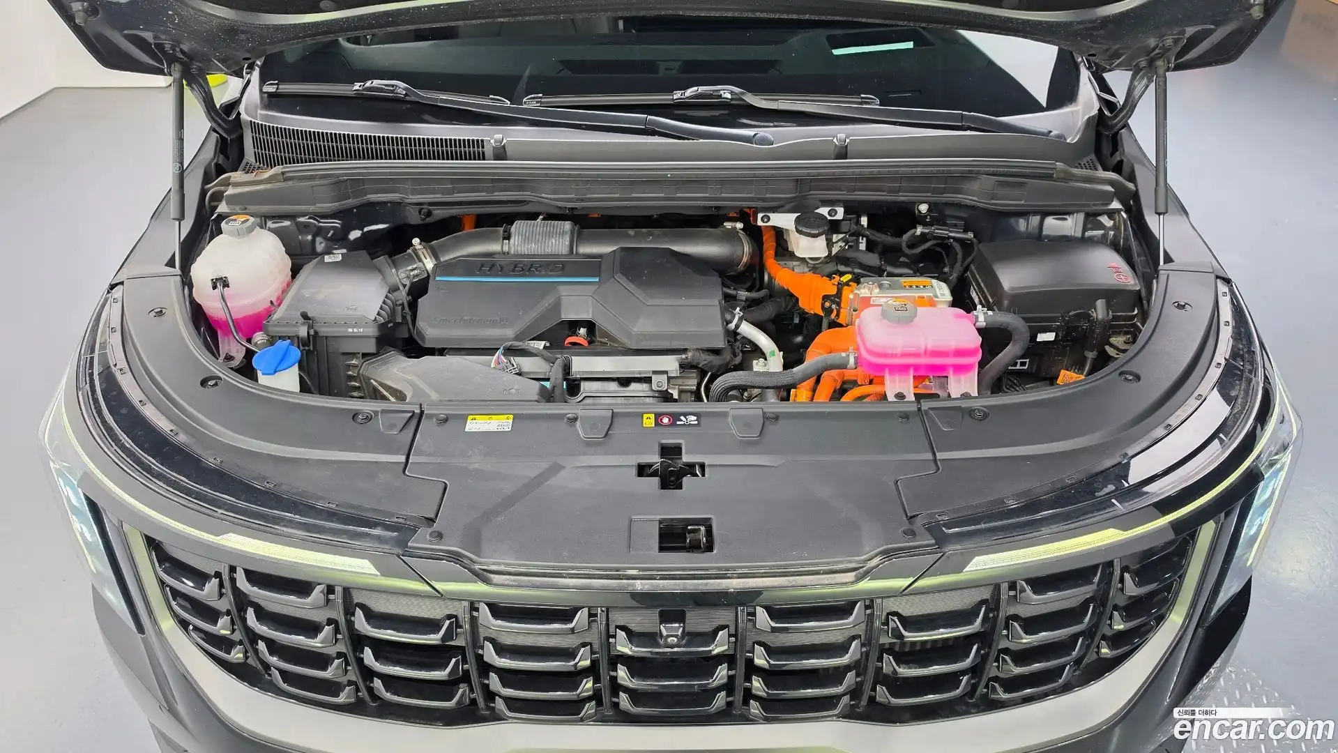 Canival Kia 2024.6-OUTER-006
