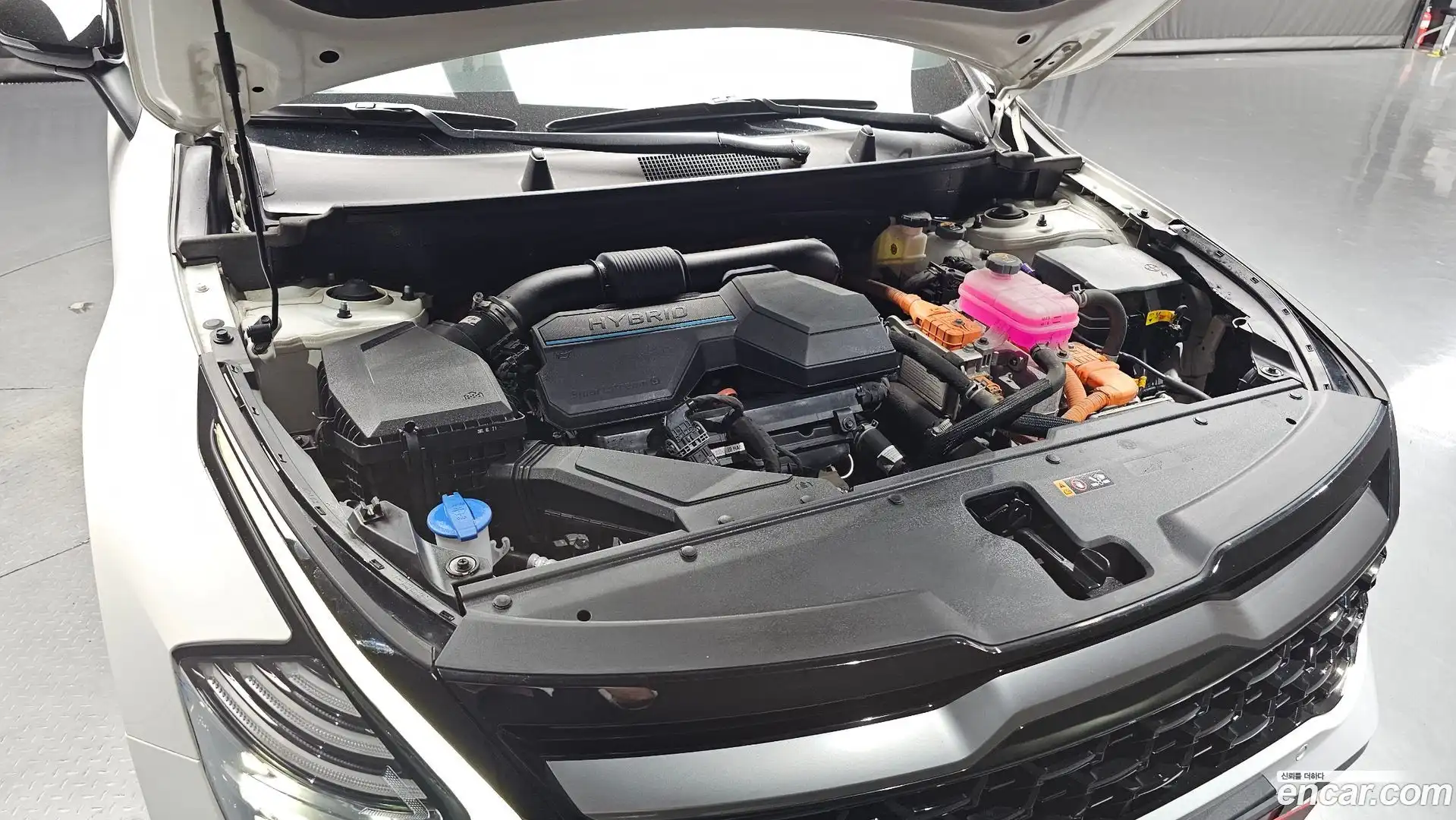 Sportage Kia 2022.9-OUTER-006