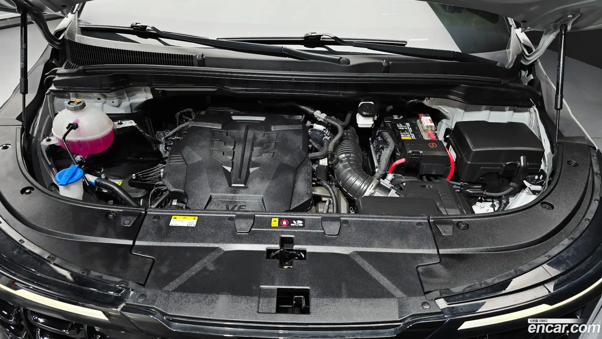 Canival Kia 2024.6-OUTER-006