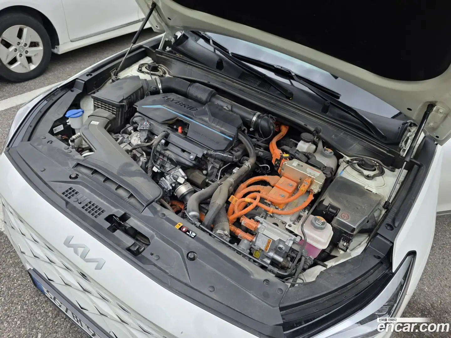 K8 Kia 2023.10-OPTION-024