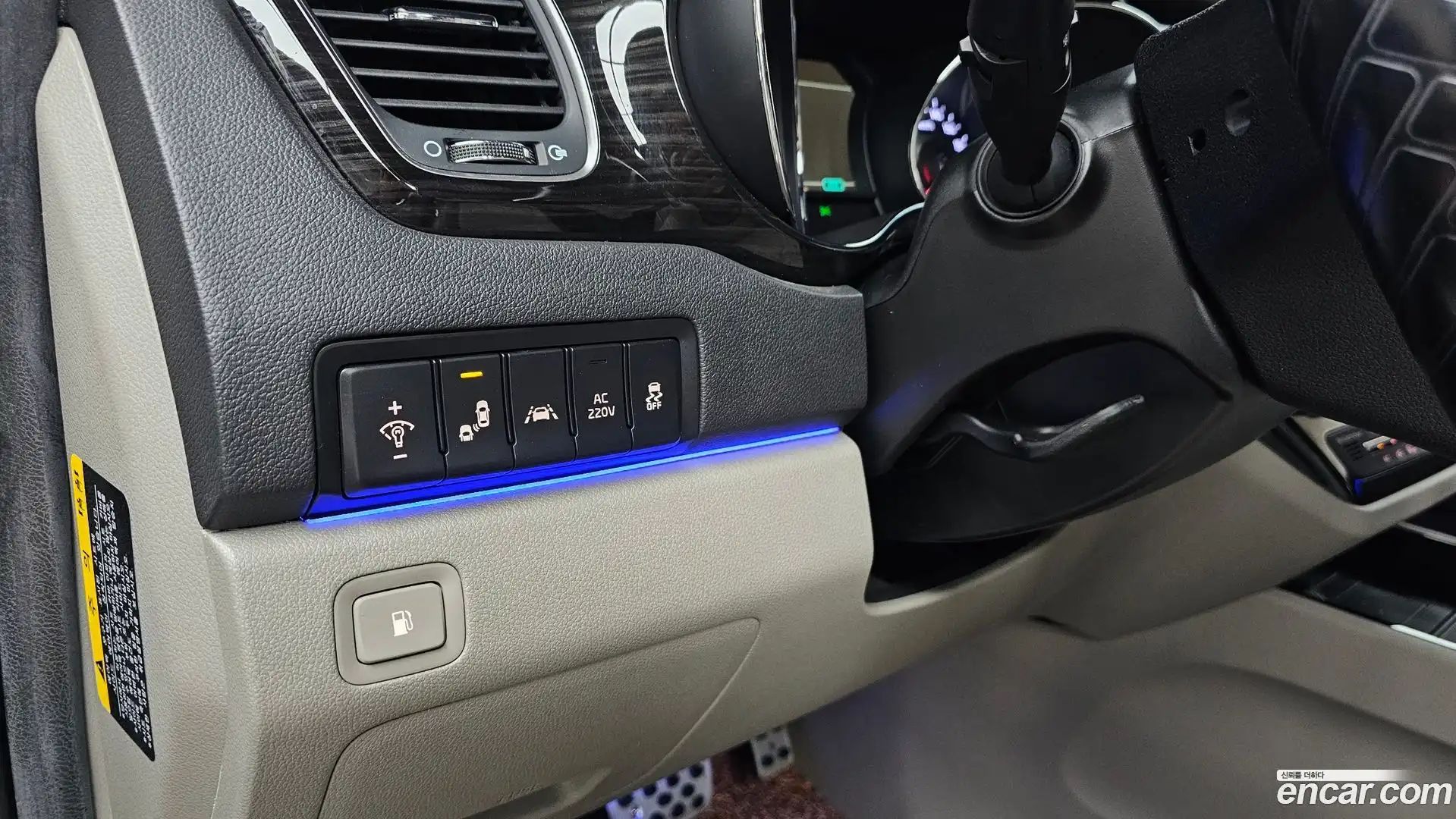 Canival Kia 2019.9-OPTION-022