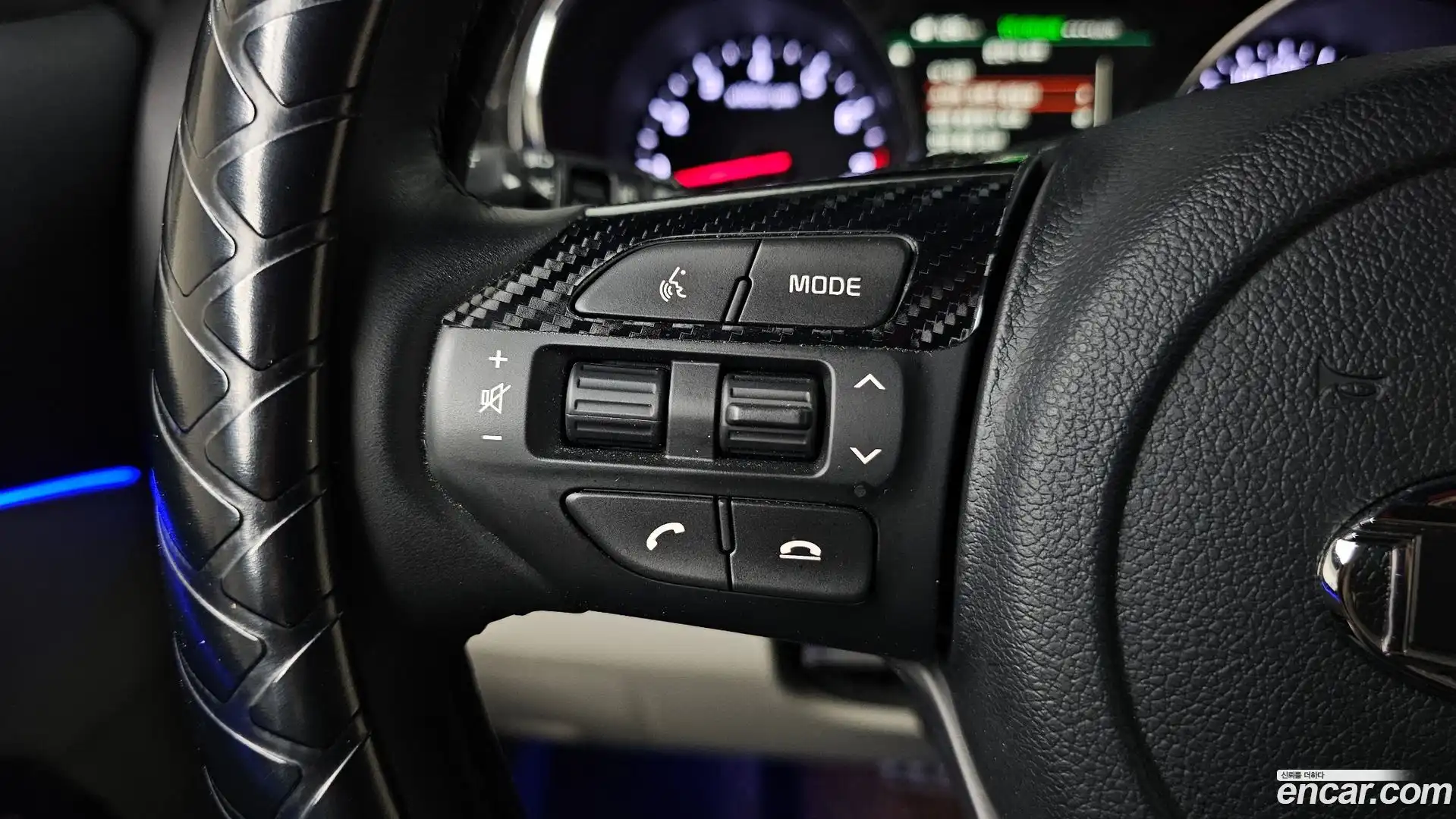 Canival Kia 2019.9-OPTION-043