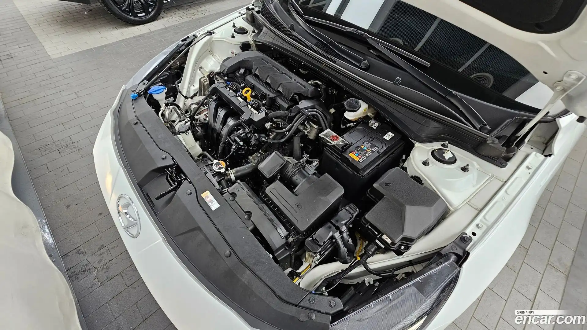 AVANTE Hyundai 2022.6-OUTER-006