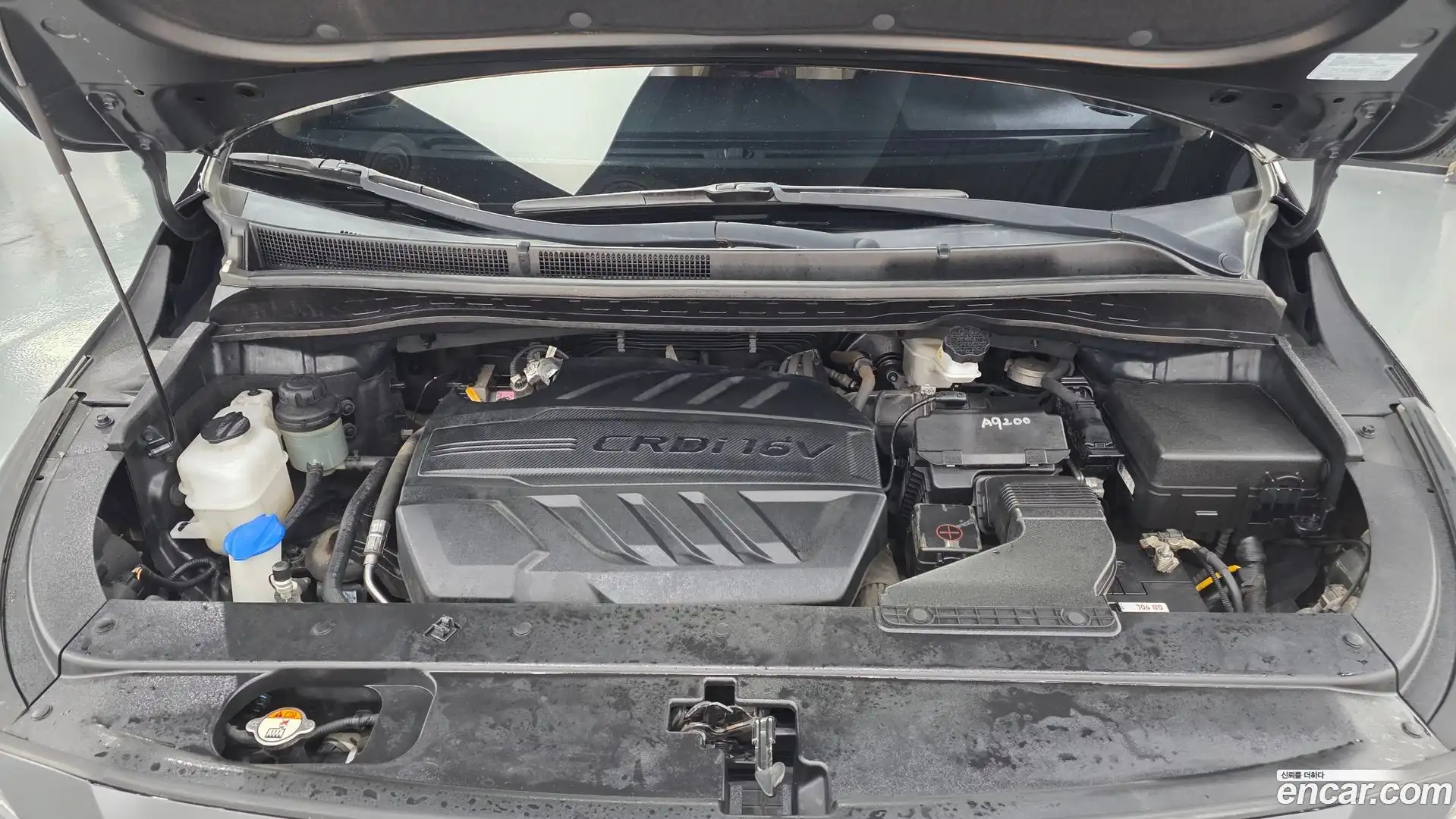 Canival Kia 2020.5-OUTER-006