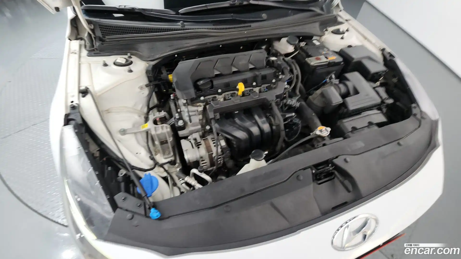 AVANTE Hyundai 2021.6-OUTER-006