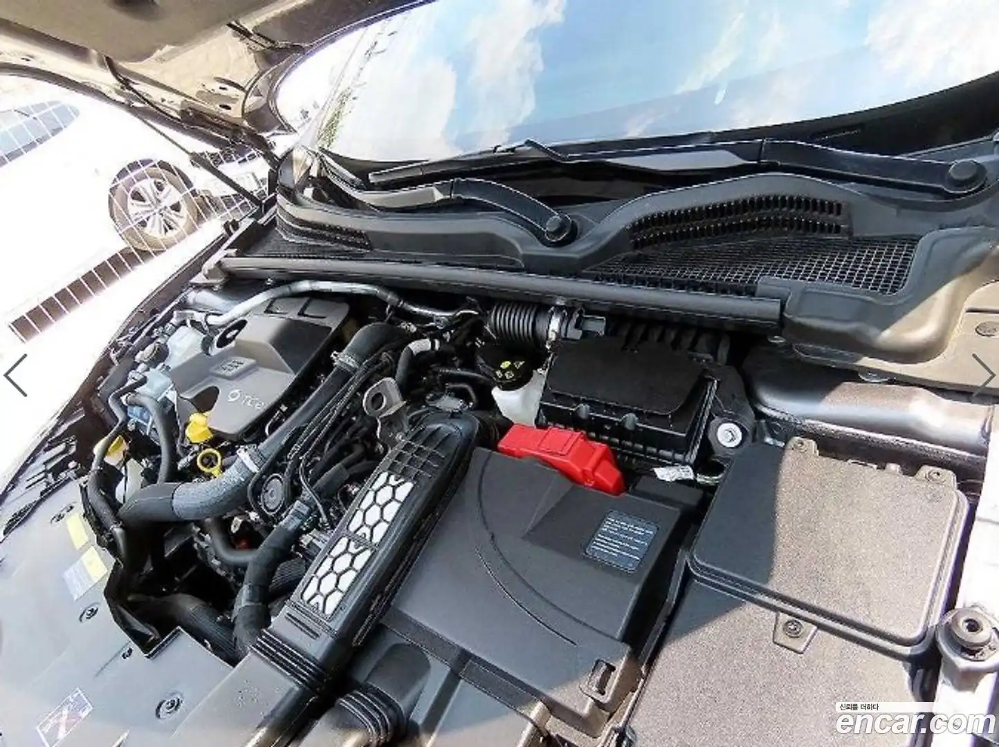 SM6 Renault Korea 2024.11-OPTION-023