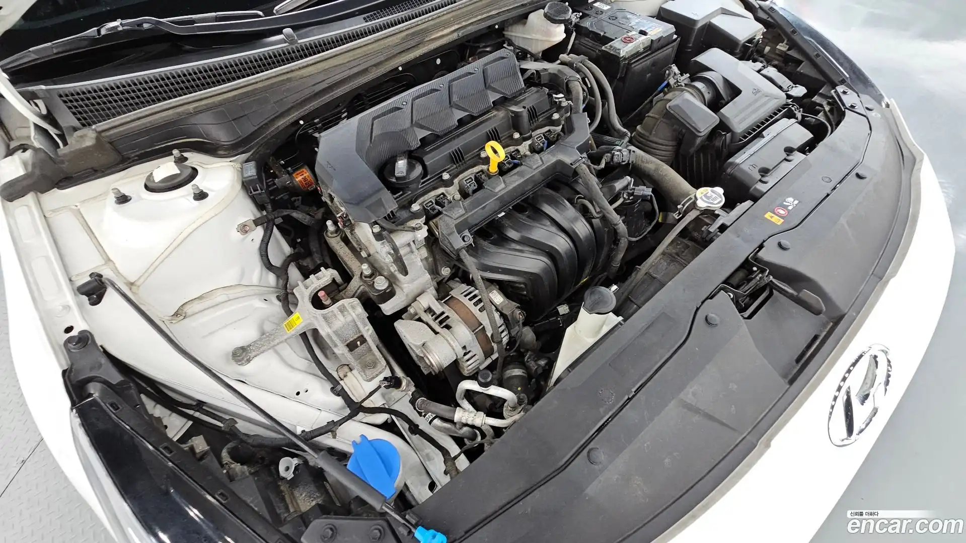 AVANTE Hyundai 2022.0-OUTER-006