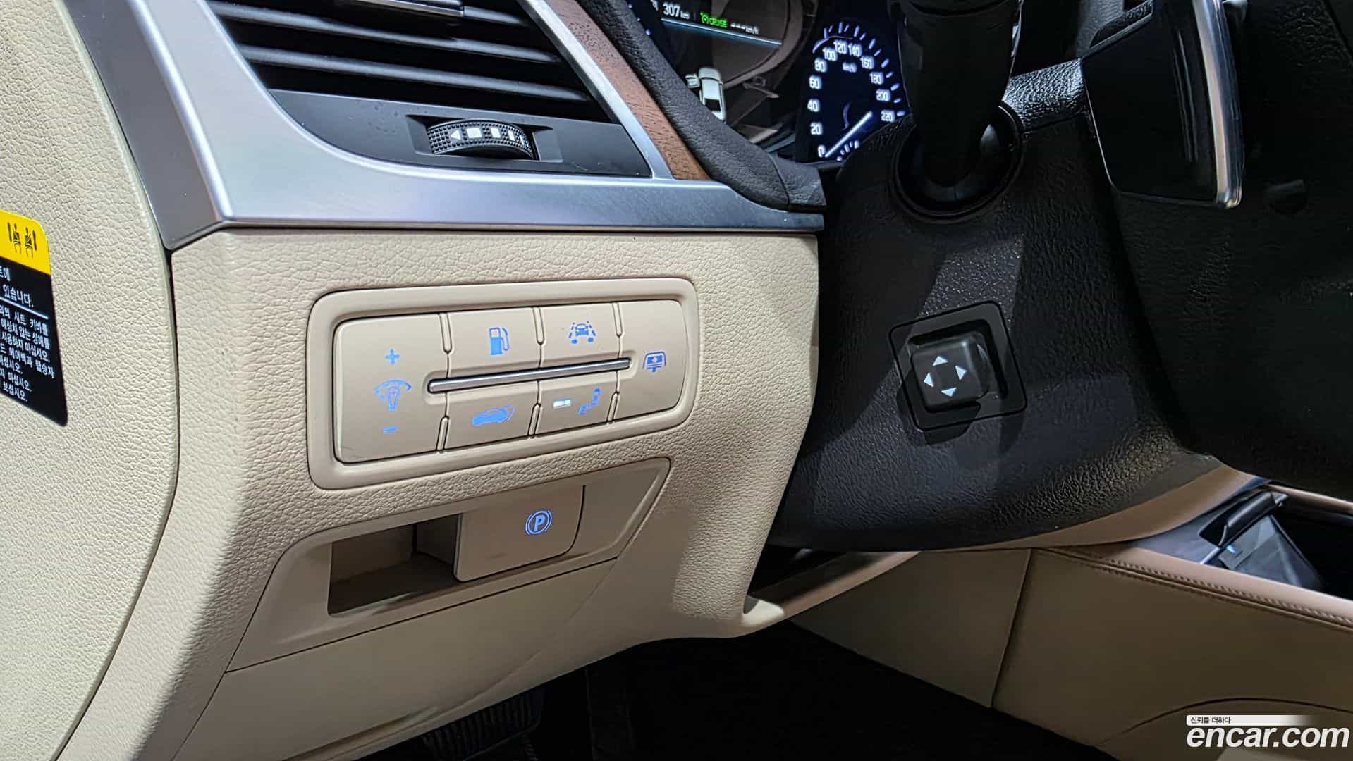G80 Genesis 2019.2-OPTION-016