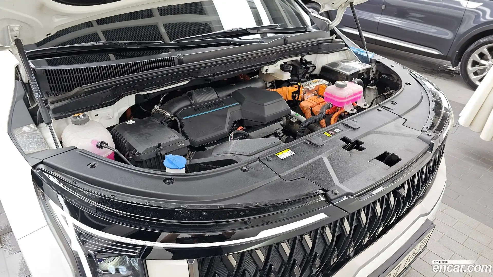 Canival Kia 2024.1-OUTER-006