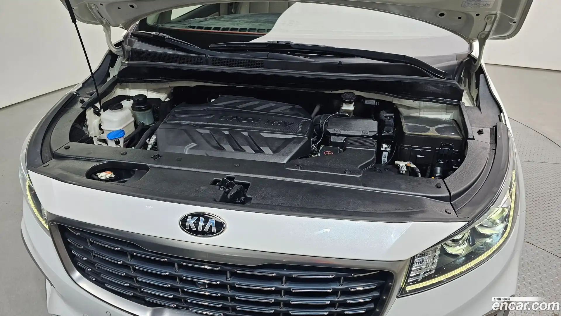 Canival Kia 2019.5-OUTER-006