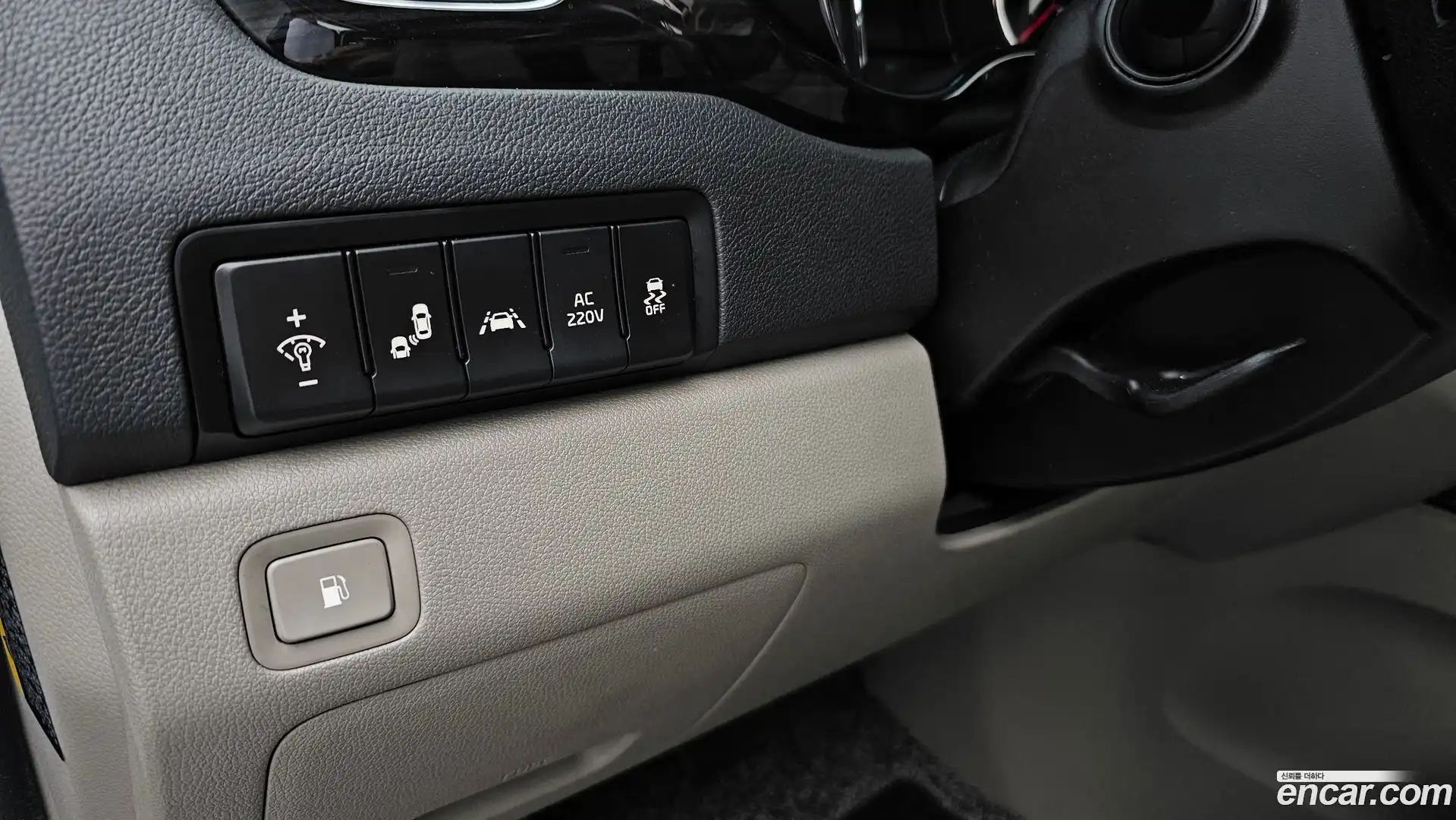 Canival Kia 2019.5-OPTION-024
