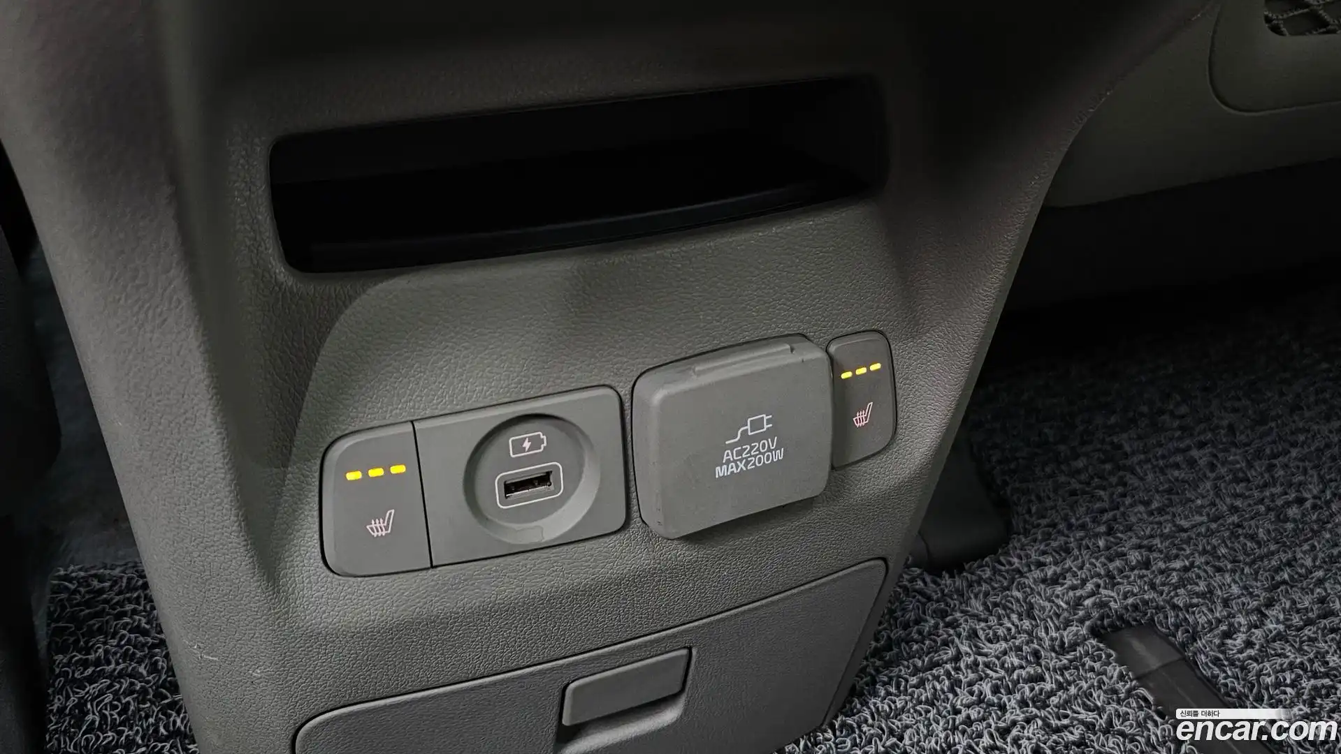 Canival Kia 2019.5-OPTION-041