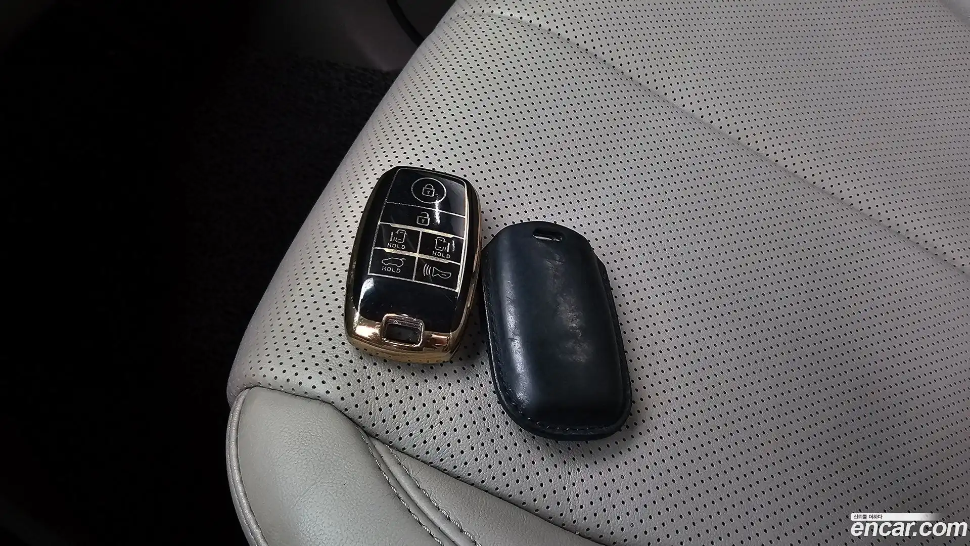 Canival Kia 2019.5-OPTION-042
