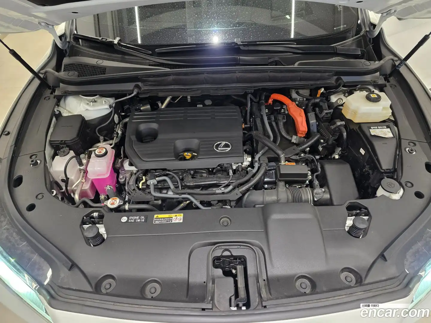 RX Lexus 2025.5-OUTER-006