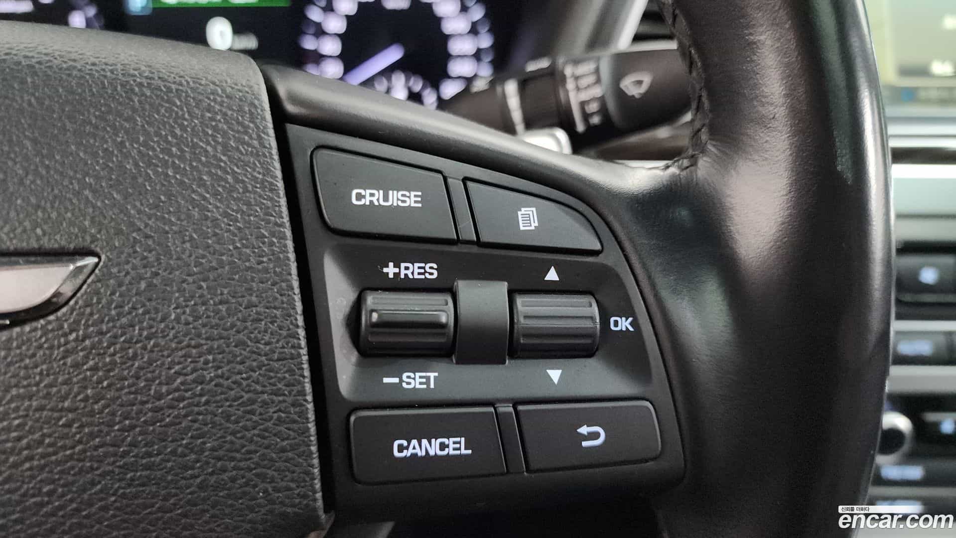 G80 Genesis 2017.6-OPTION-020
