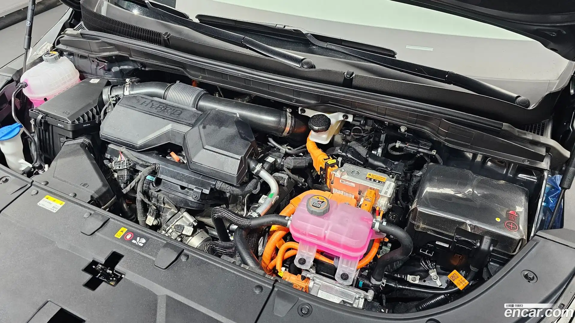 Canival Kia 2025.4-OUTER-006