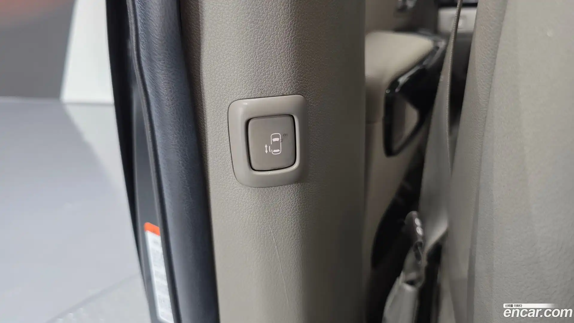 Canival Kia 2019.3-OPTION-021